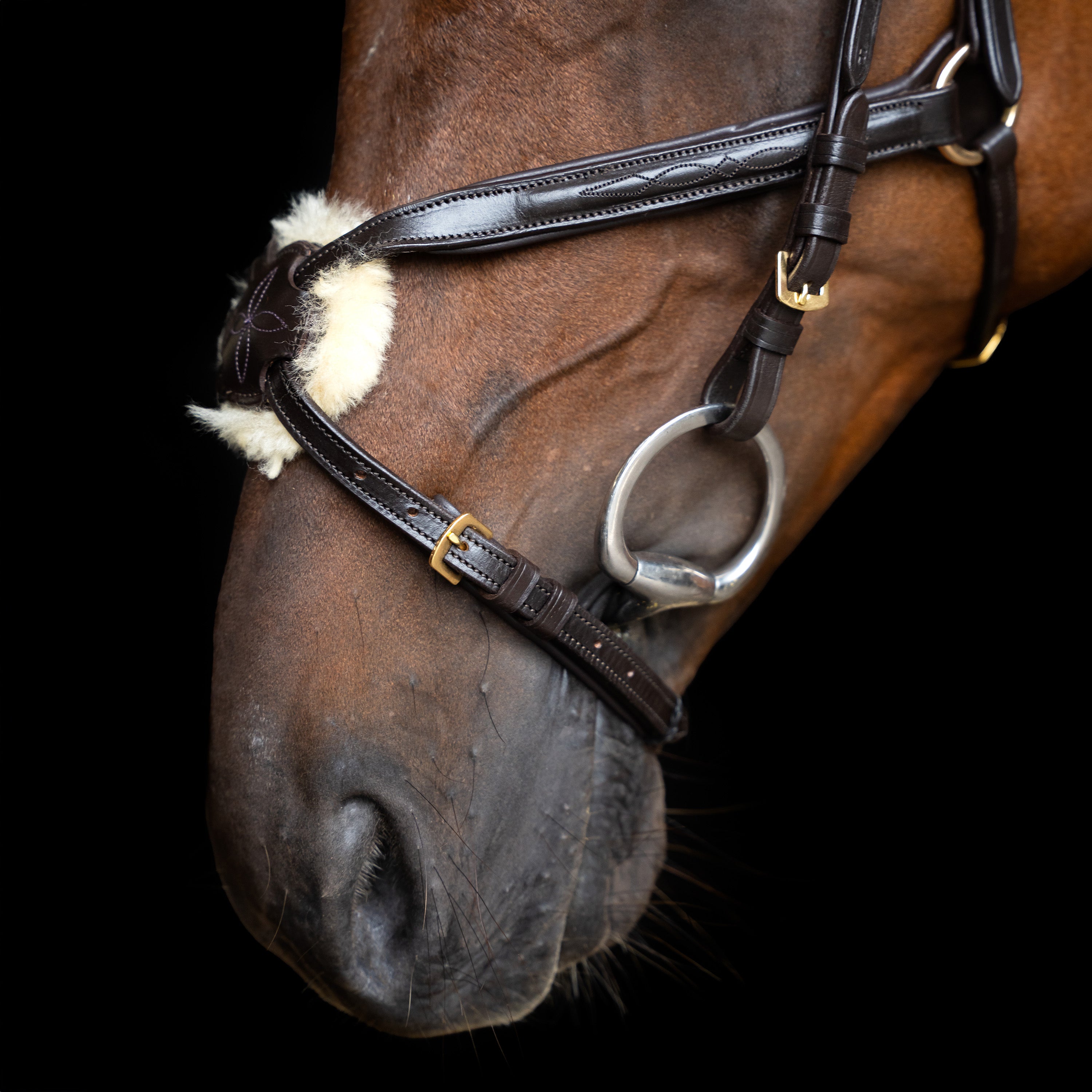 Bridle Mexican IRH