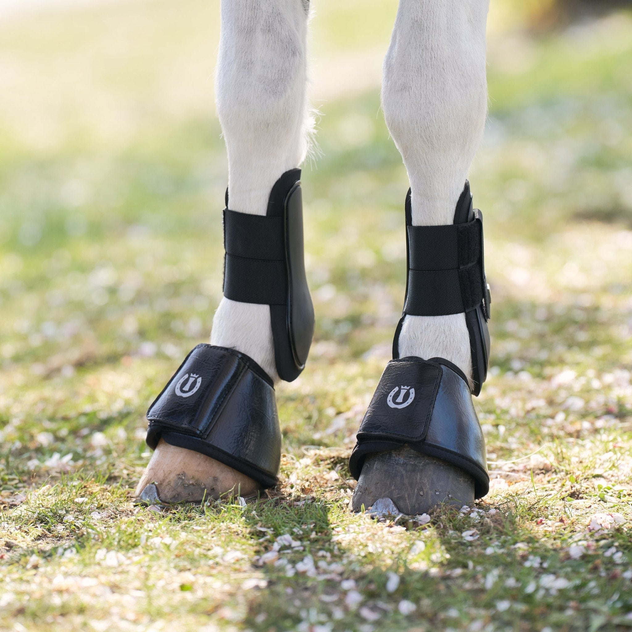 Bellboots IRHRebel - Shetlandslycka - Always equine