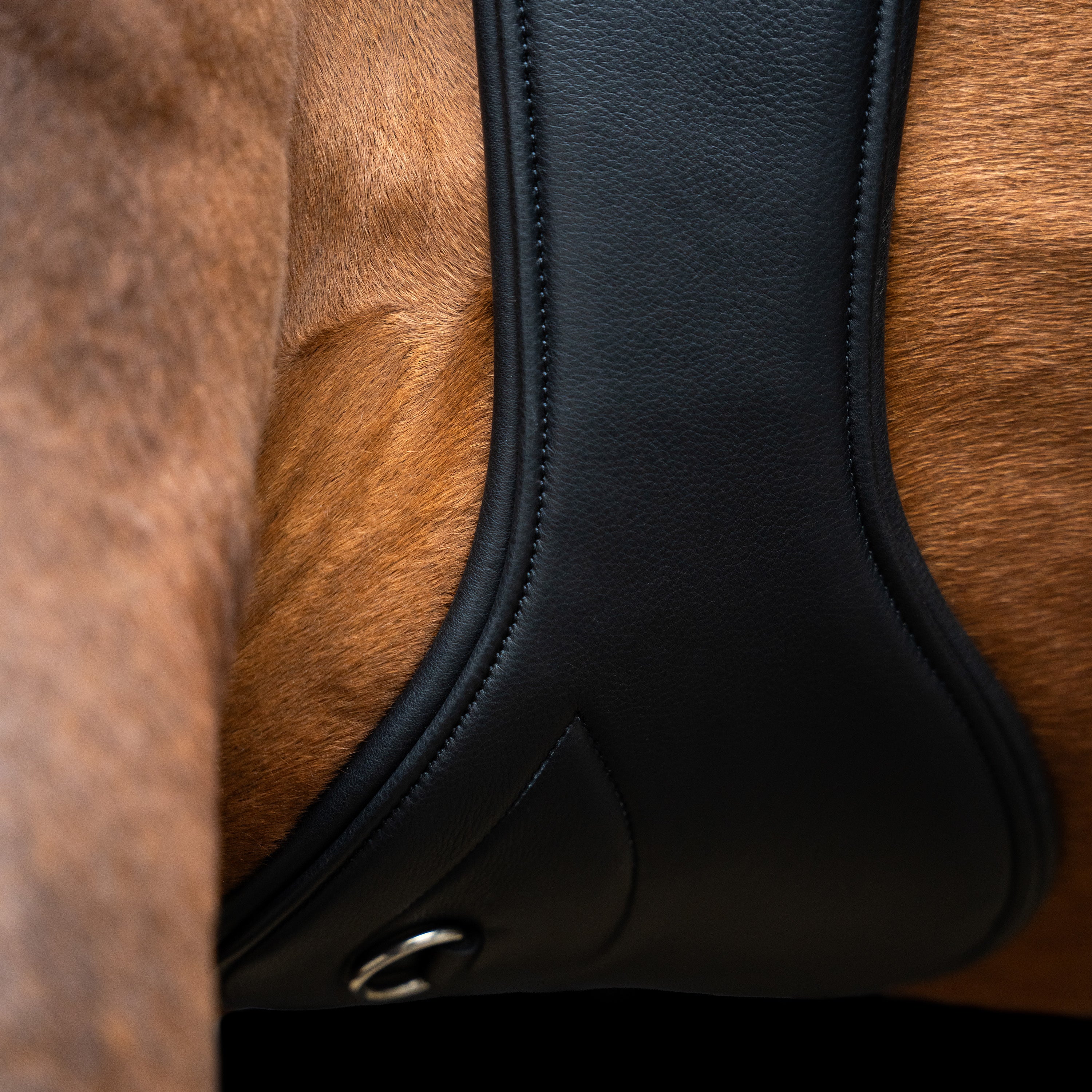 Jumping girth IRH anatomic with spring buckles