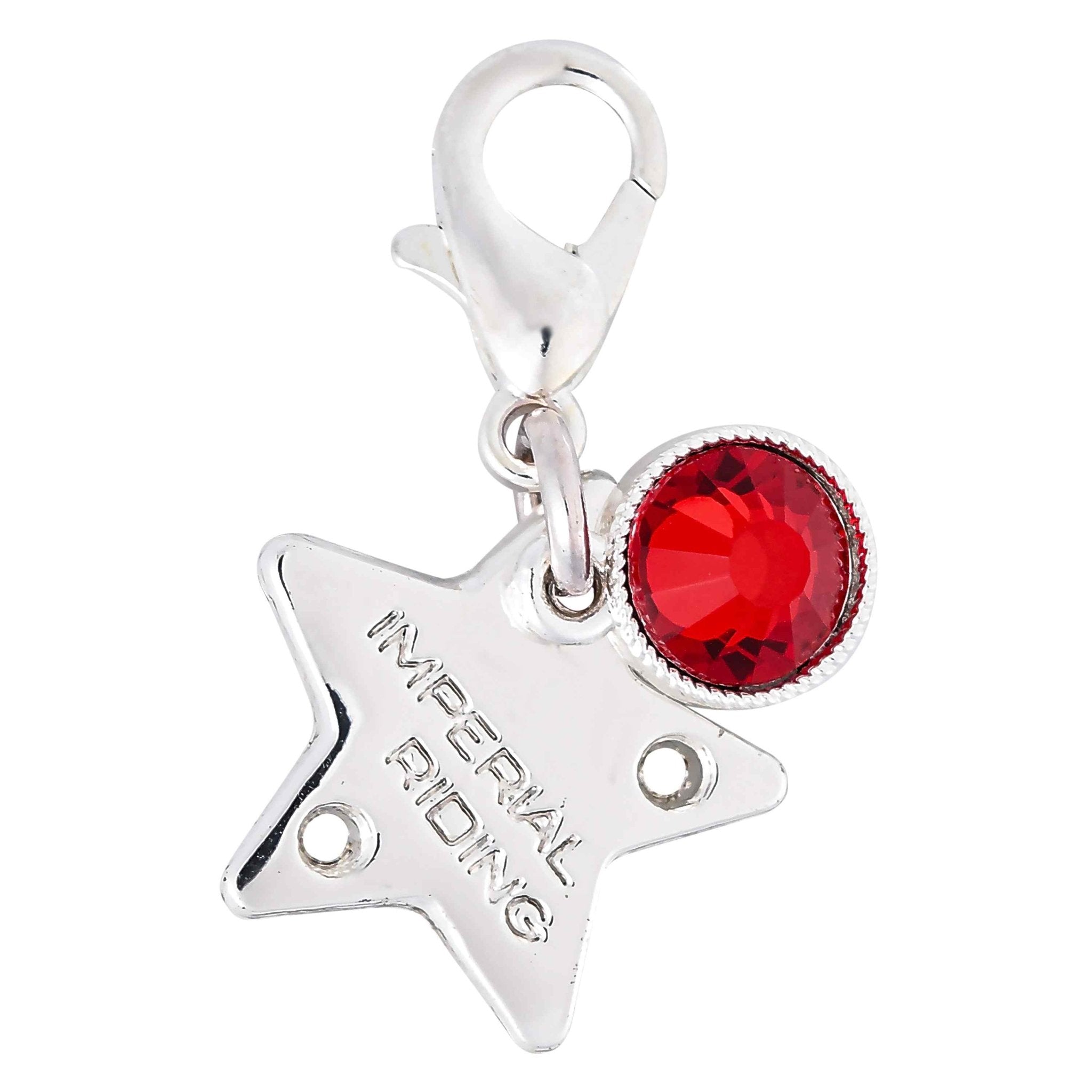 Bridle Charm IRHBirthstone silver - Shetlandslycka - Always equine