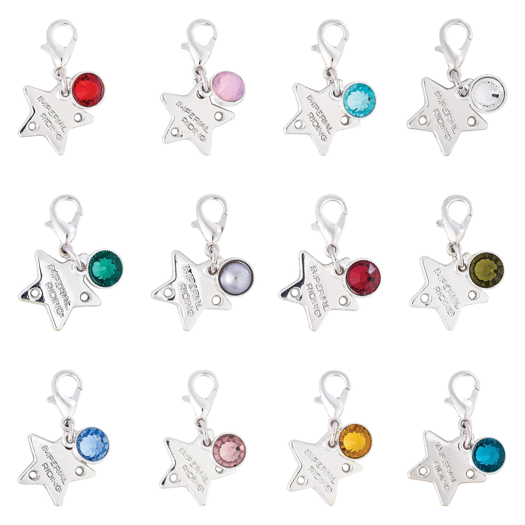 Bridle Charms IRHBirthstone silver, set of 12 pcs - Shetlandslycka - Always equine