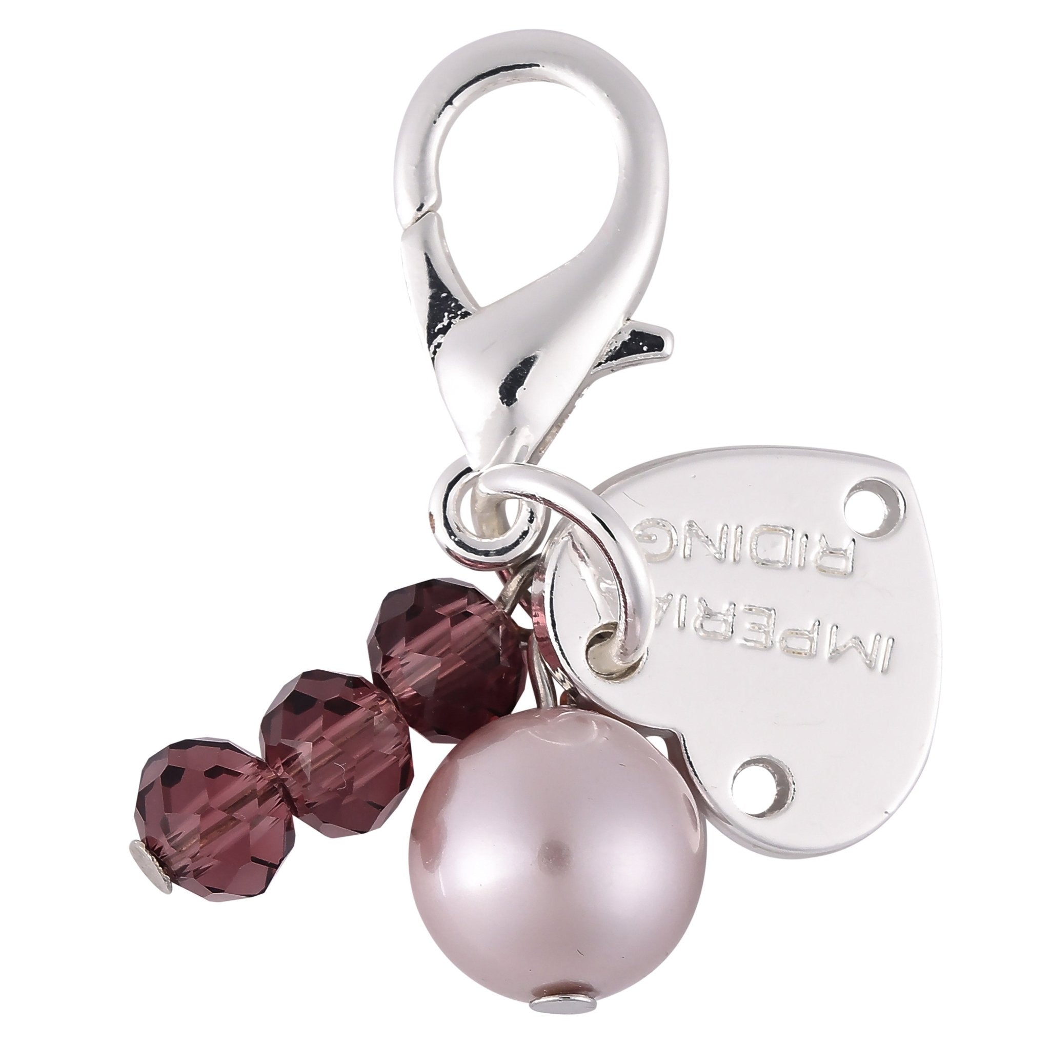 Bridle Charms IRHBliss - Shetlandslycka - Always equine