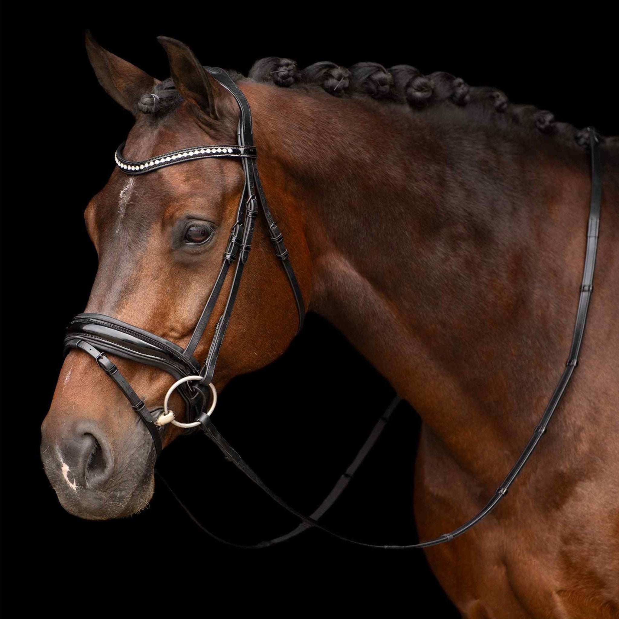 Bridle IRHAthena - Shetlandslycka - Always equine