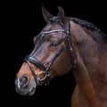 Bridle IRHOlympia - Shetlandslycka - Always equine