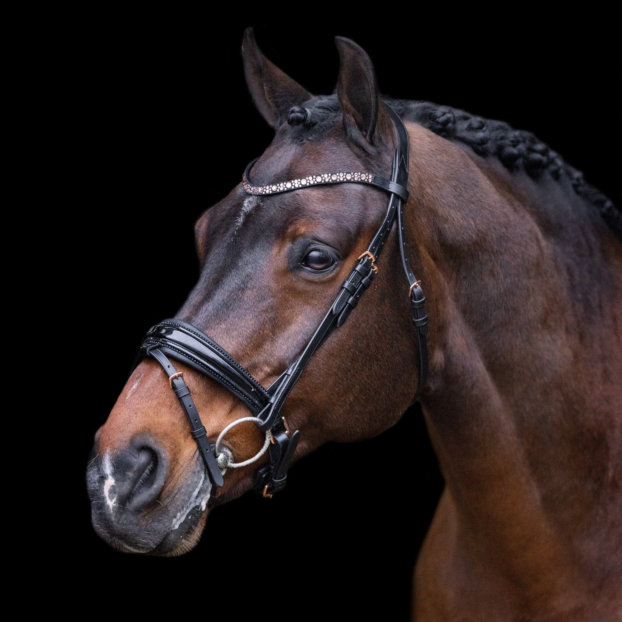 Bridle IRHOlympia - Shetlandslycka - Always equine