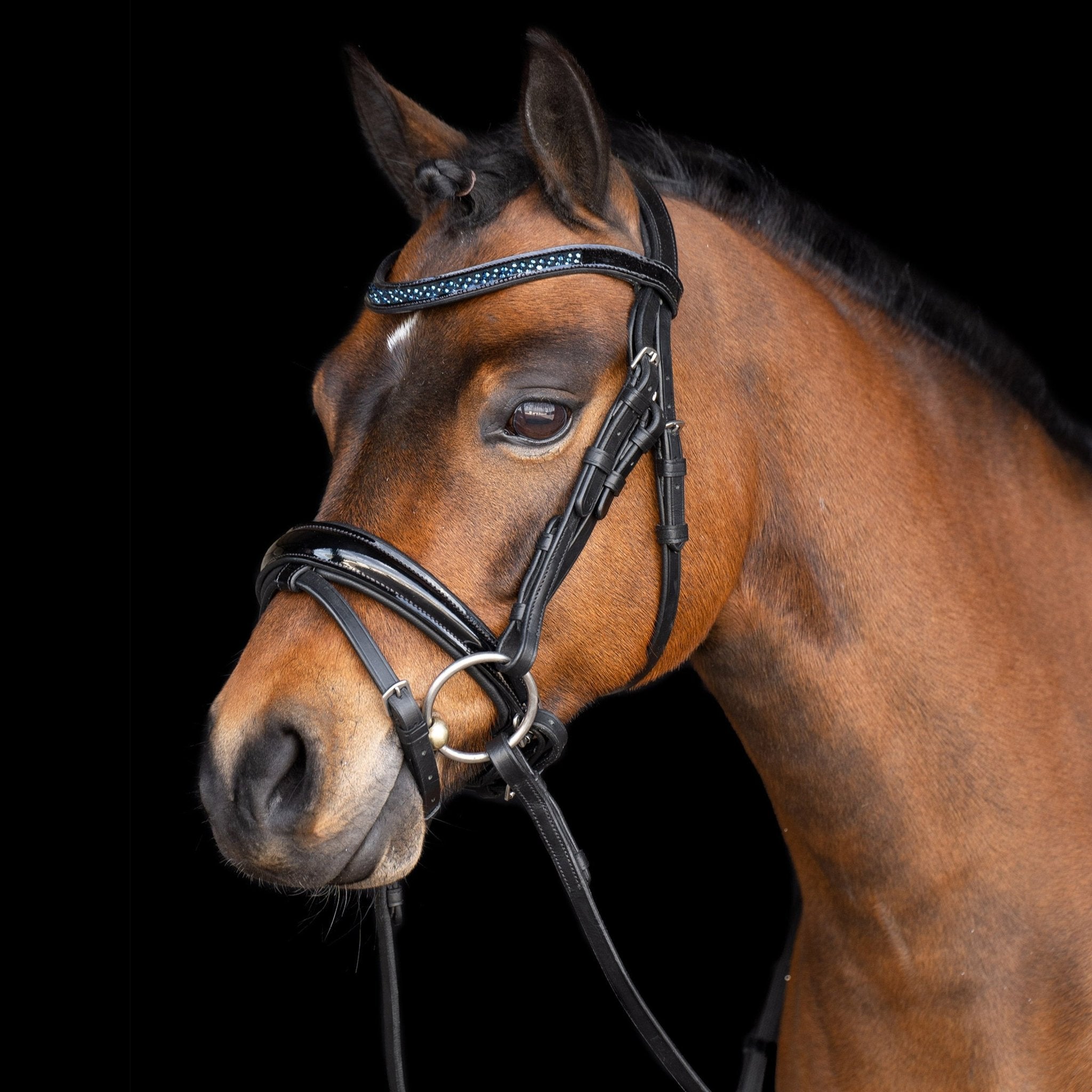 Bridle IRHPetit - Shetlandslycka - Always equine