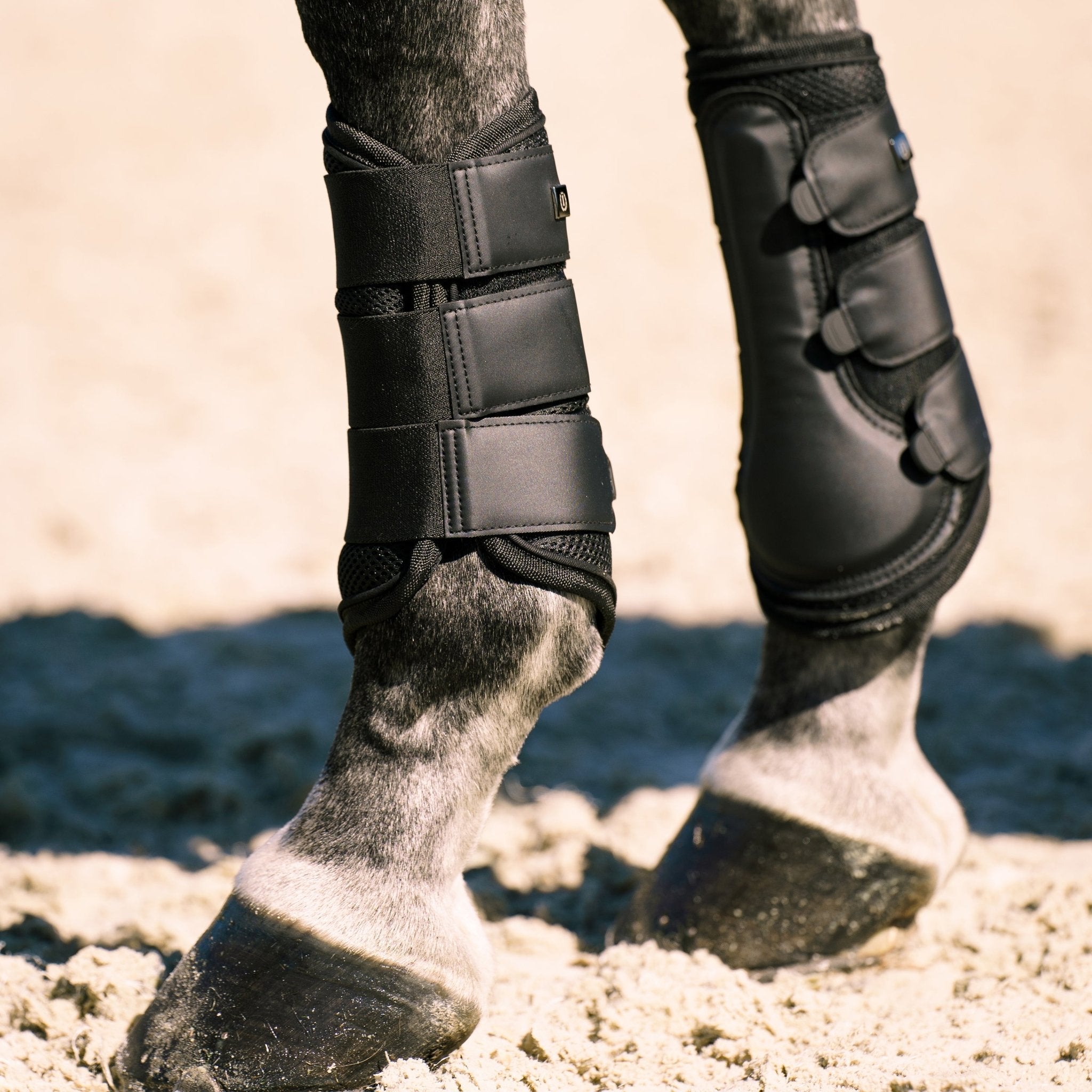 Brushing boots IRHCloud Dancer - Shetlandslycka - Always equine