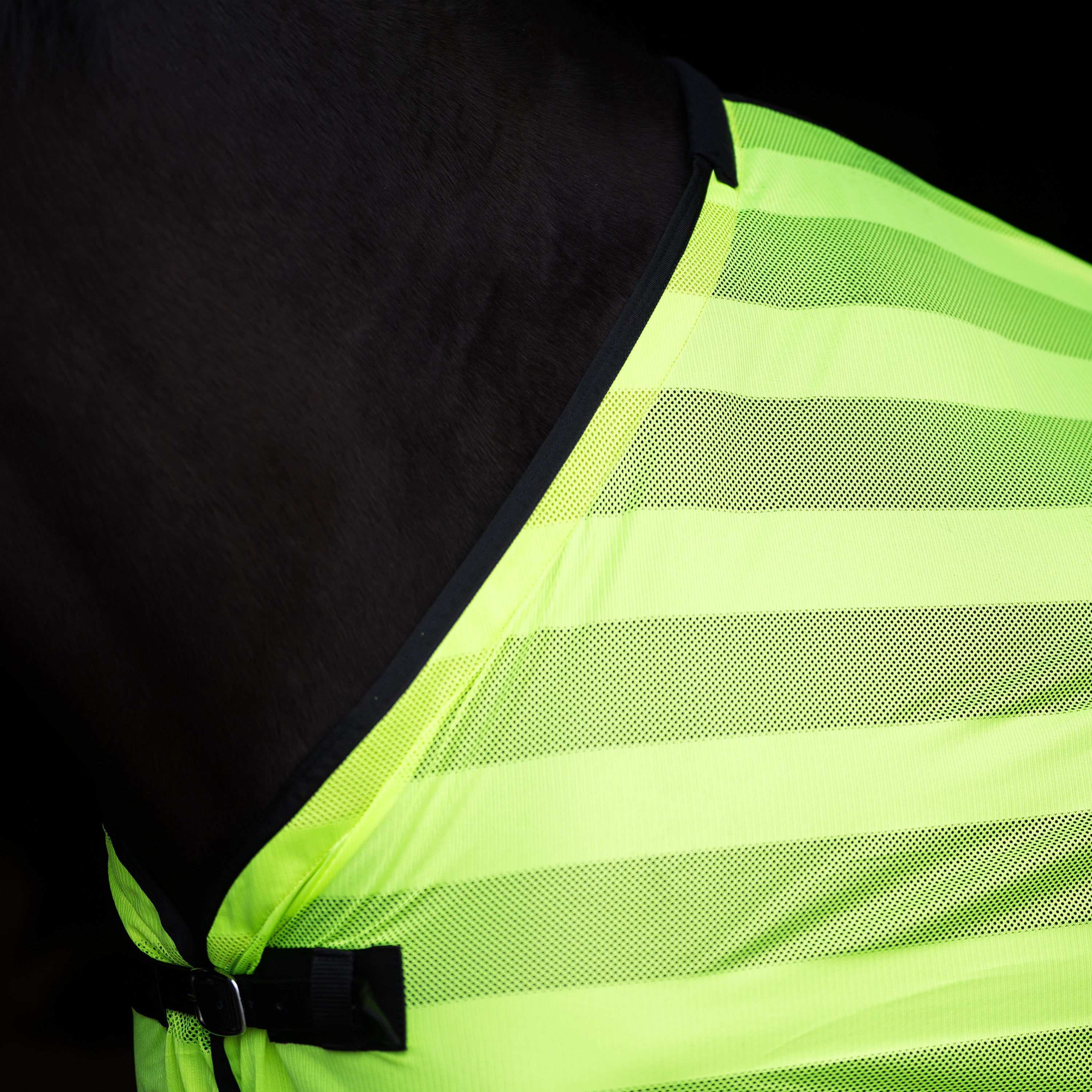 Fly blanket IRHStripe