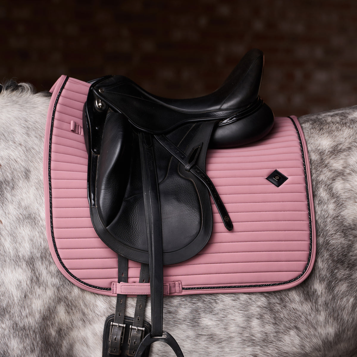 Saddlepad IRHJosie DR