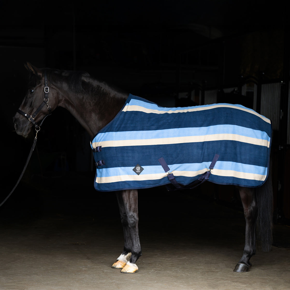 Fleece blanket IRHStripe