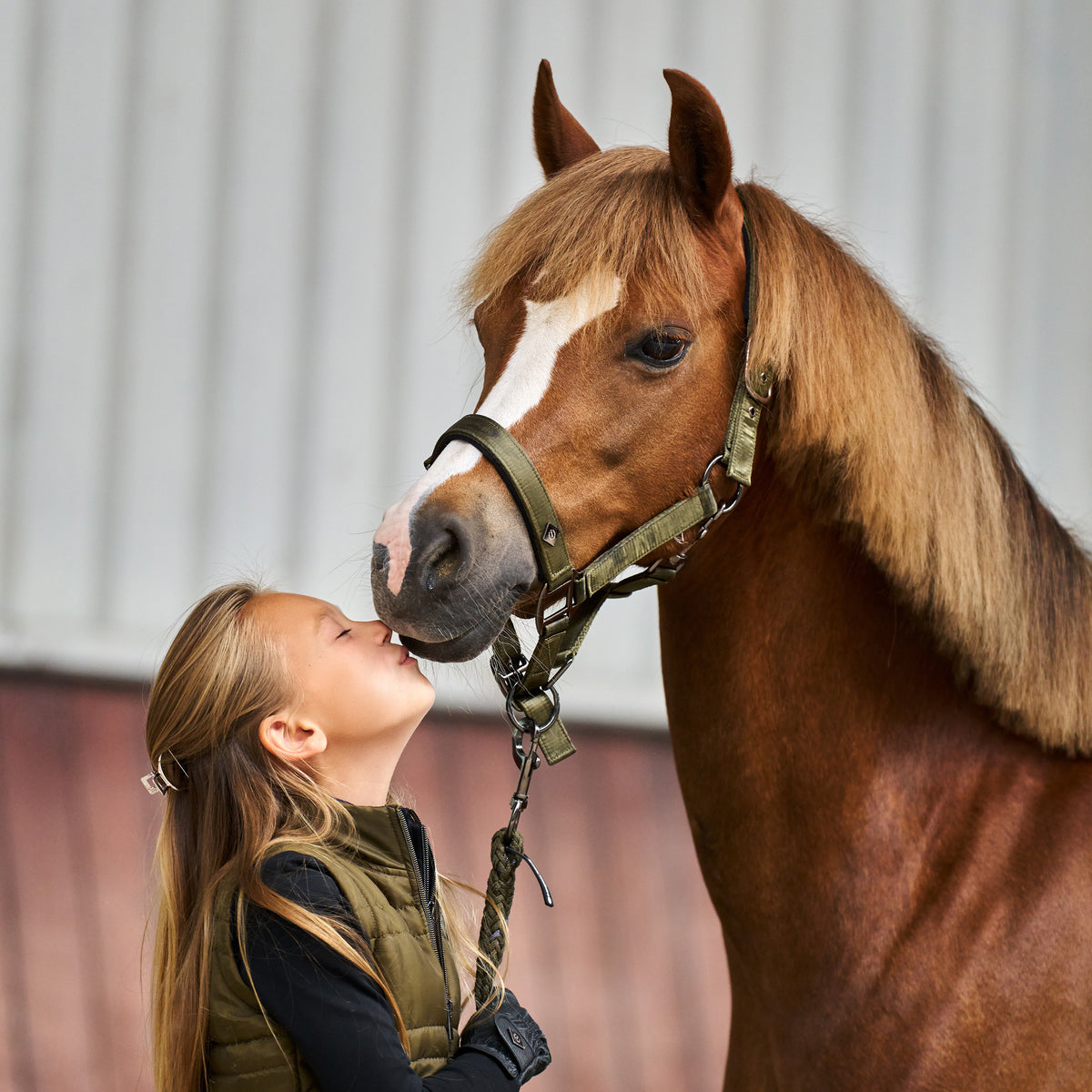 Headcollar IRHRebel