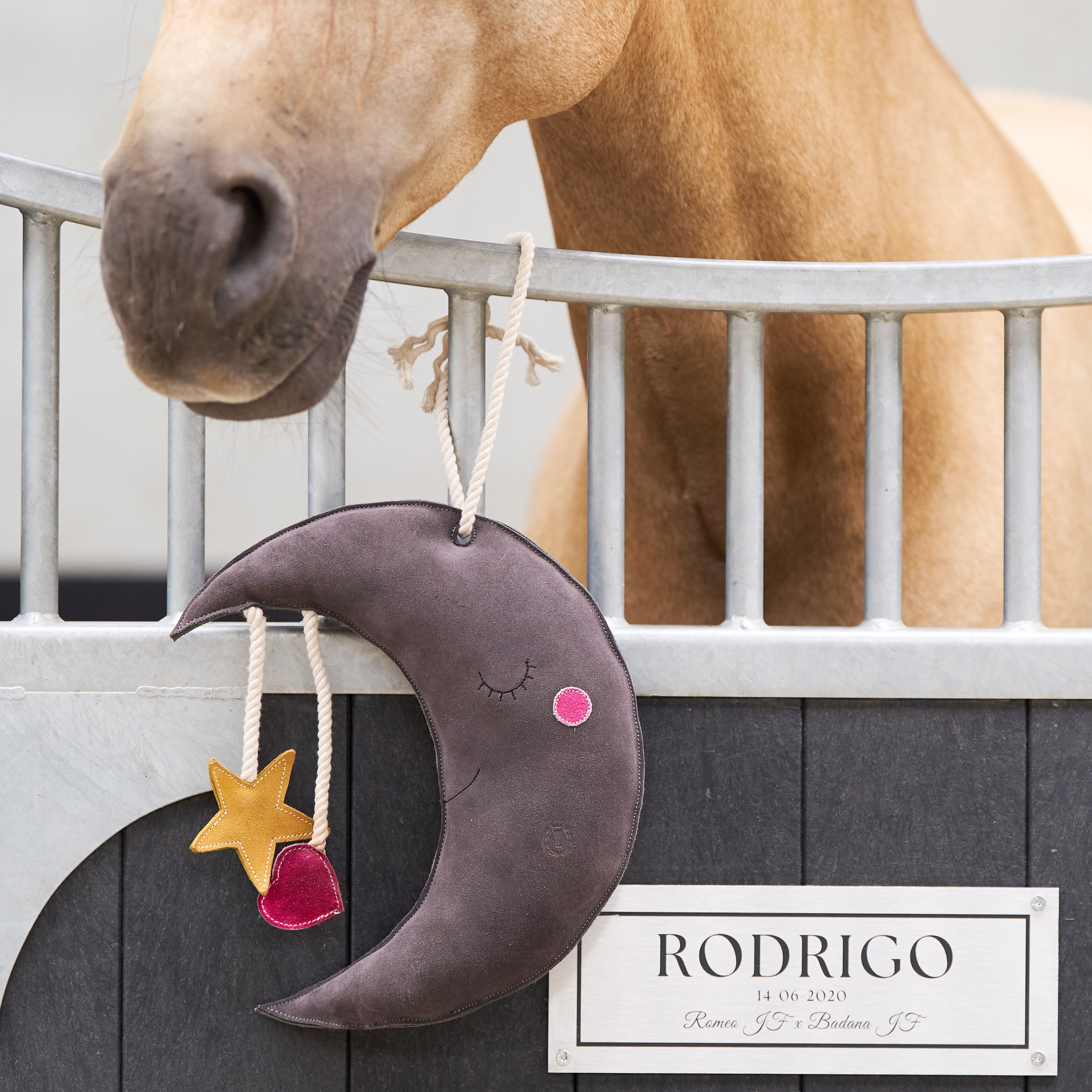 IRHStable buddy Moony
