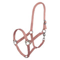 Headcollar IRHEconomic