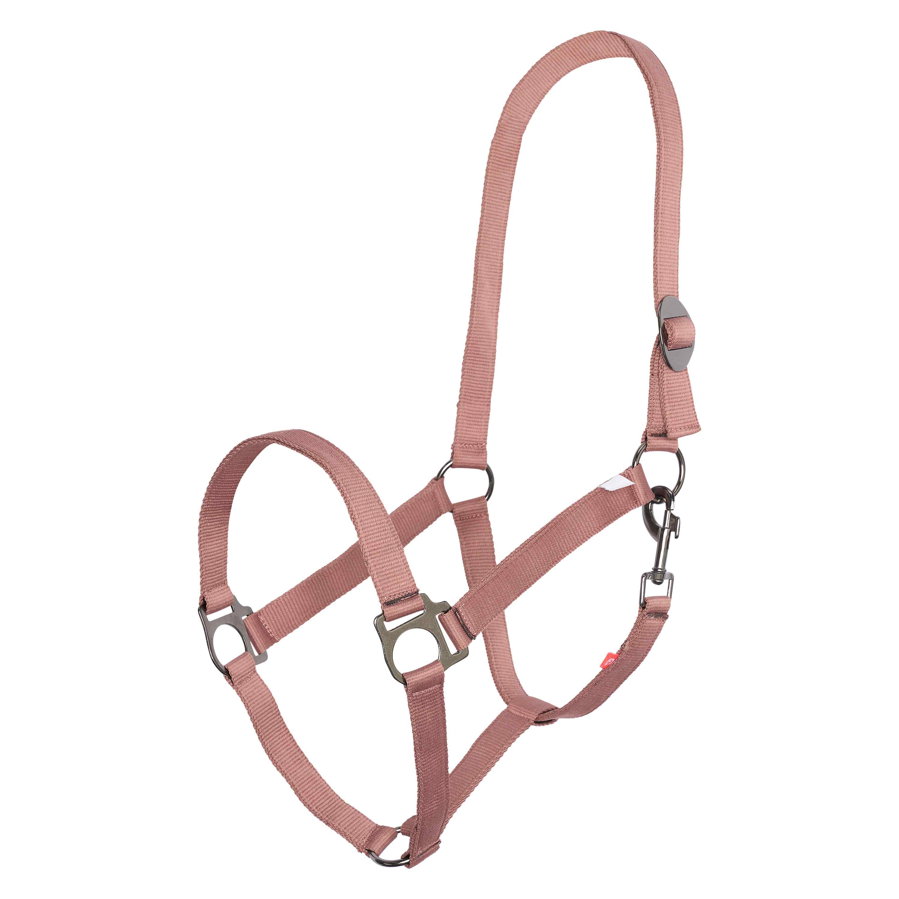 Headcollar IRHEconomic