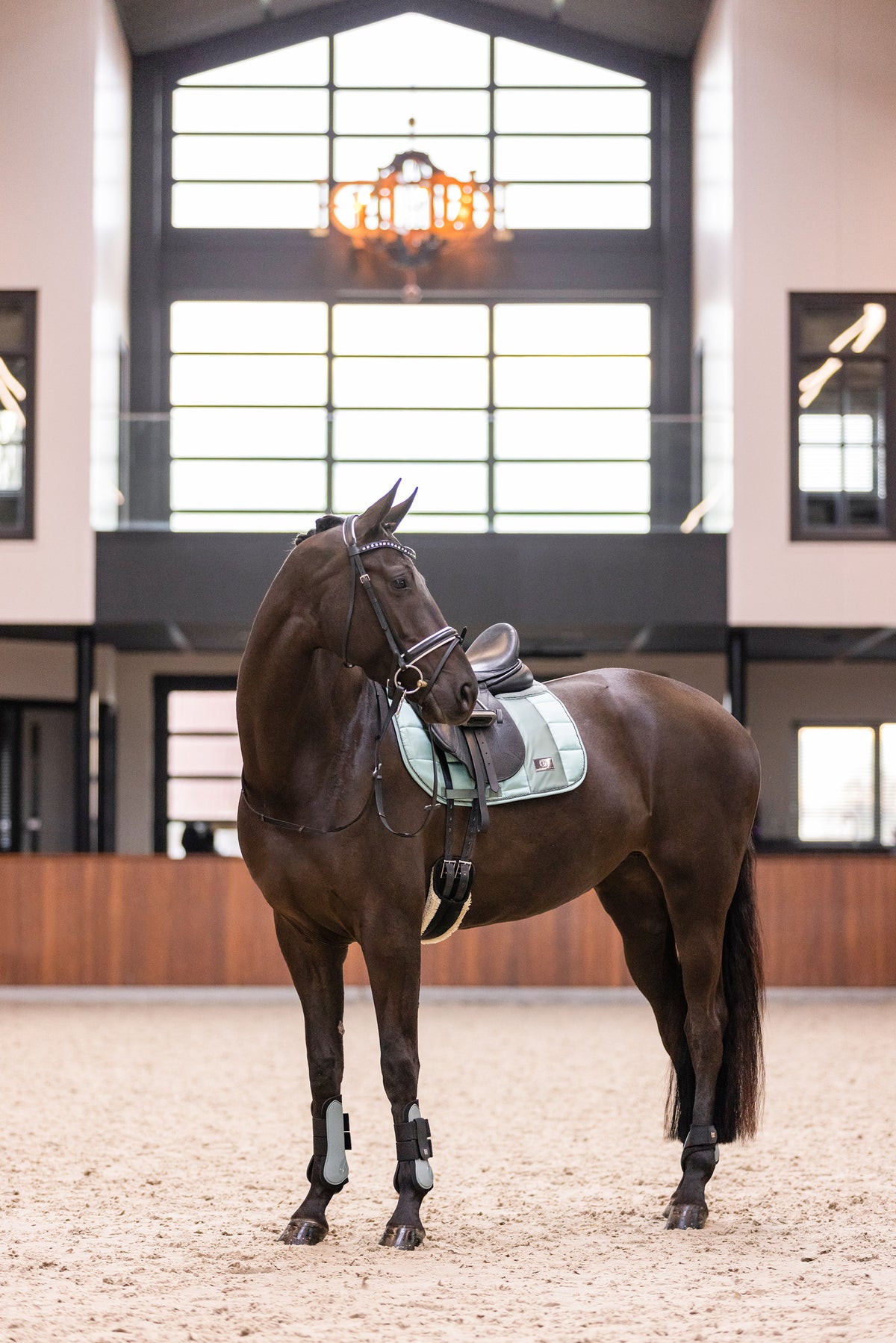 Tendon boots IRHLovely