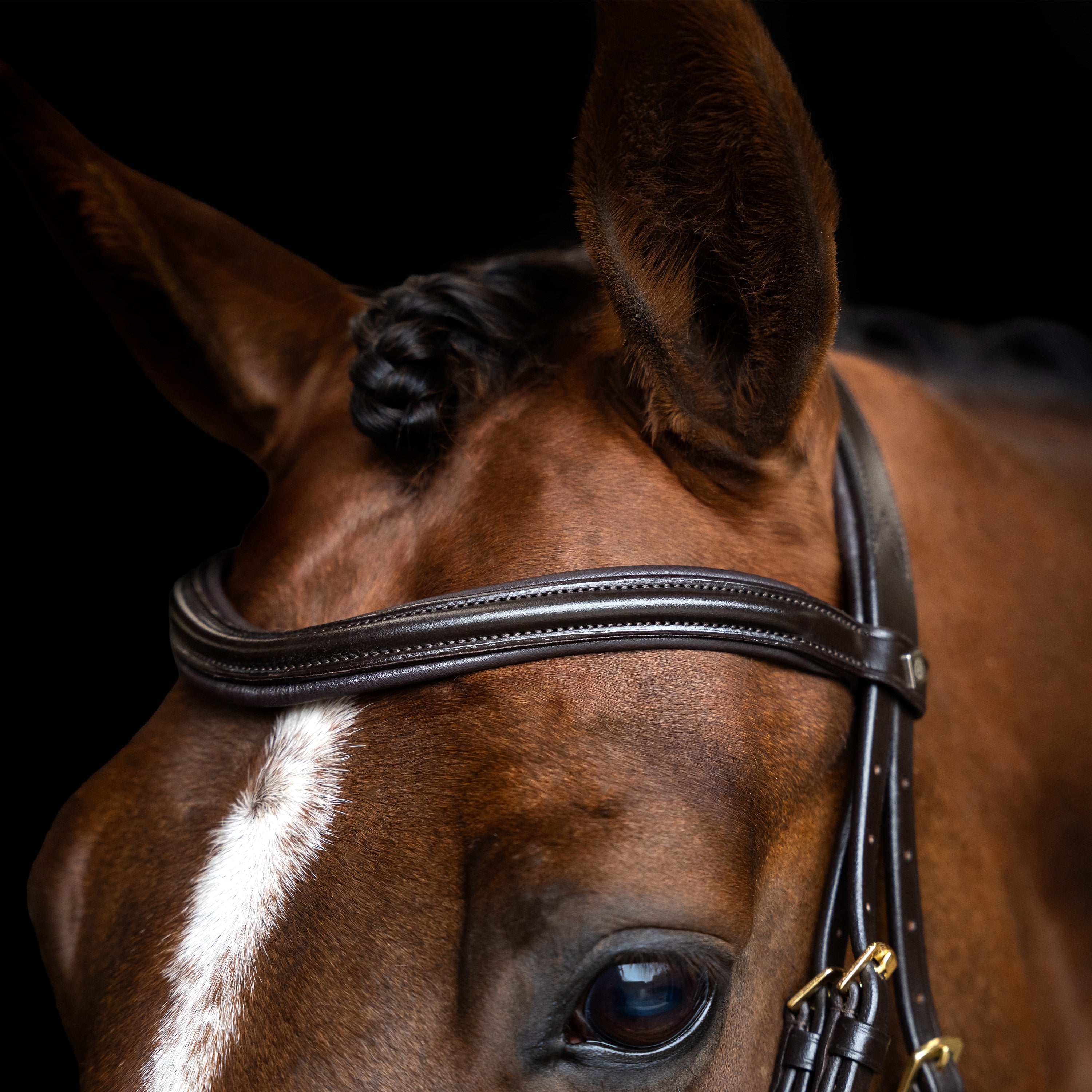 Bridle English IRH combined sleek