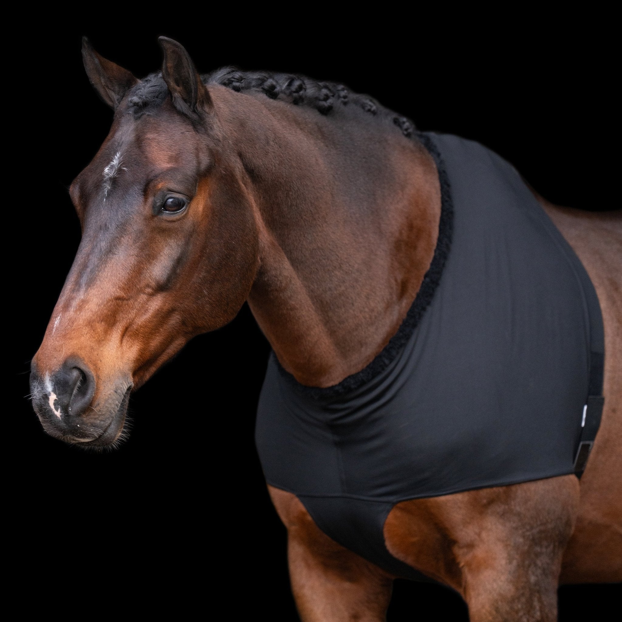 Chest protector IRHSlinky - Shetlandslycka - Always equine