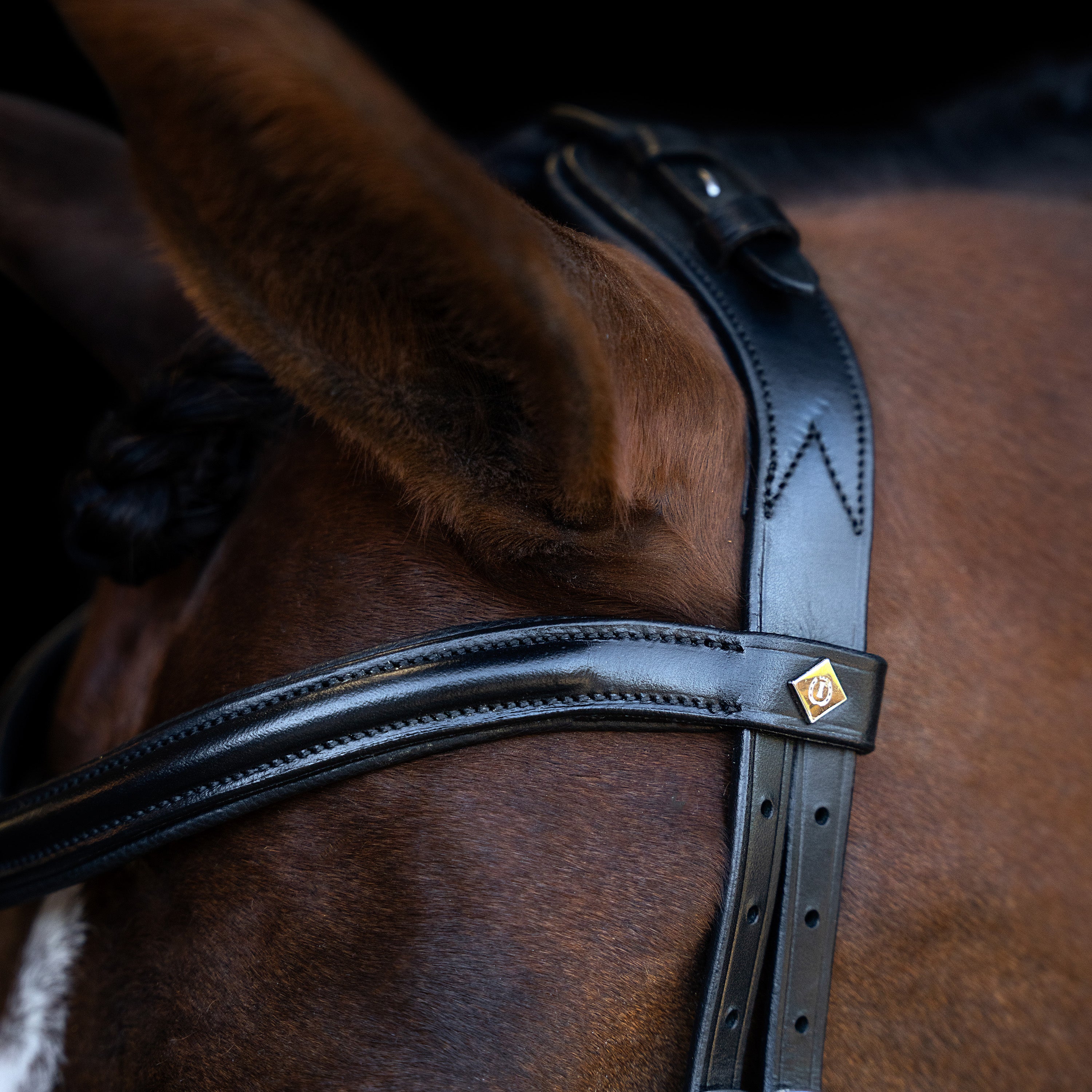 Bridle IRH with ergonomic drop noseband/flash