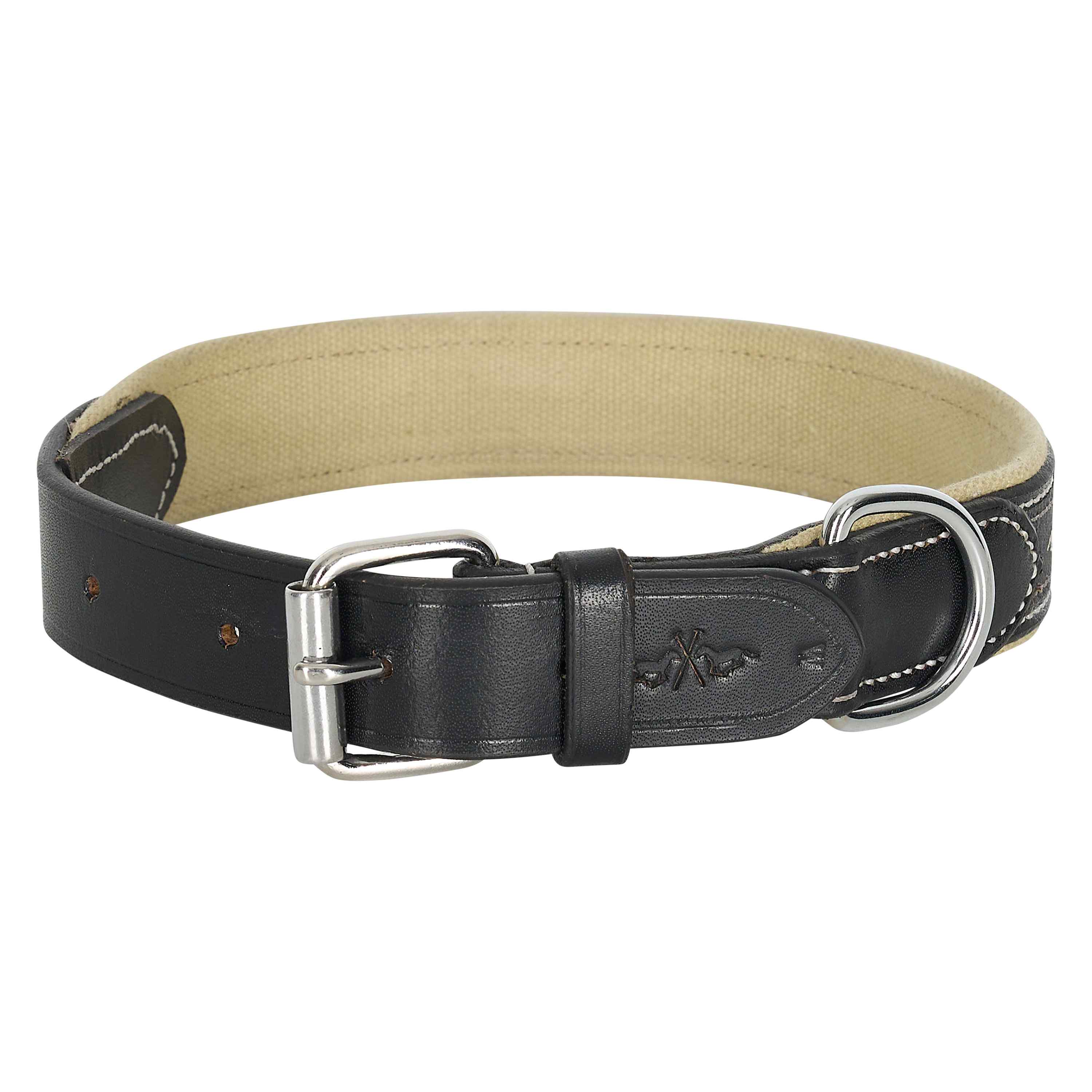 Dog collar HVPIconic