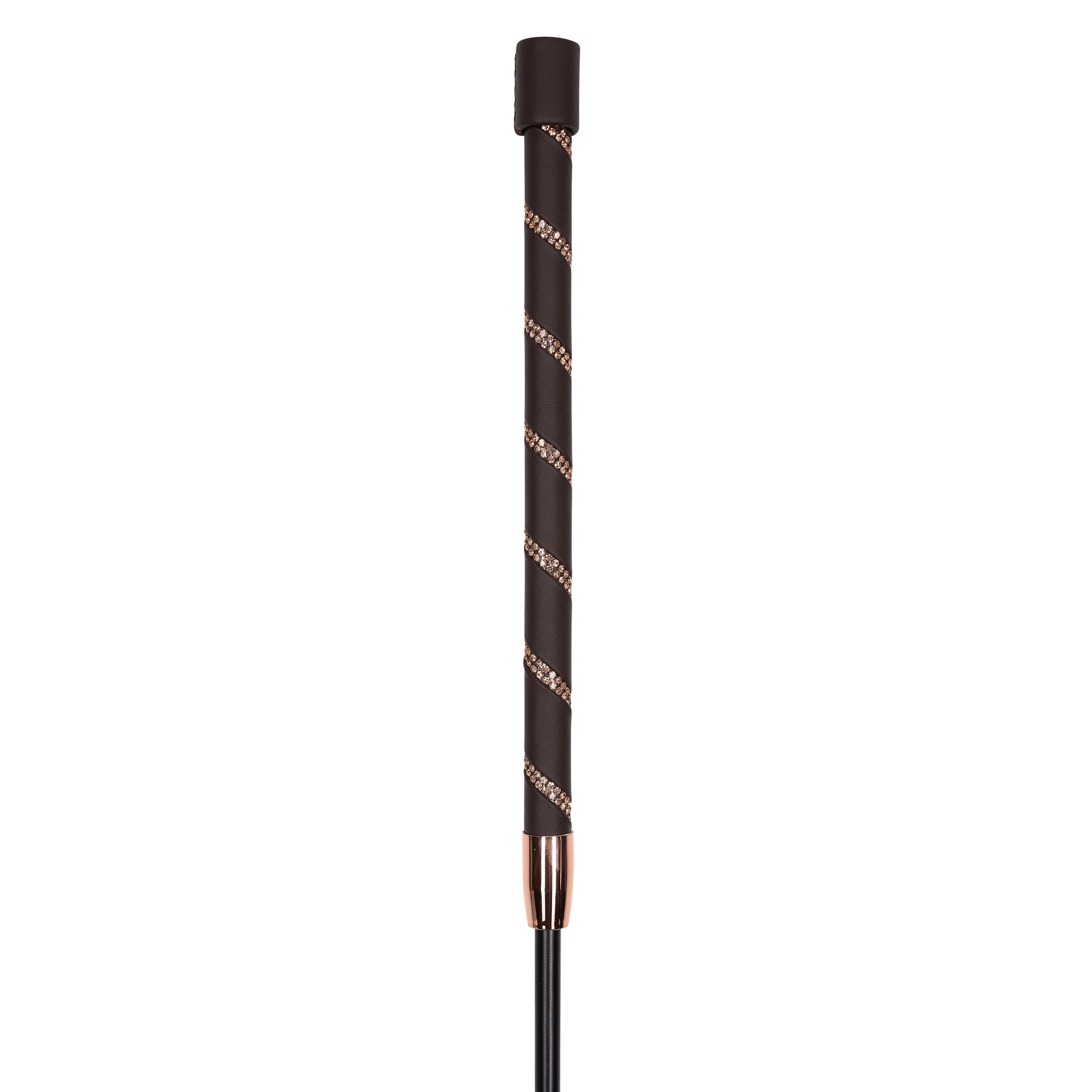 Dressage whip IRHRegal Shine