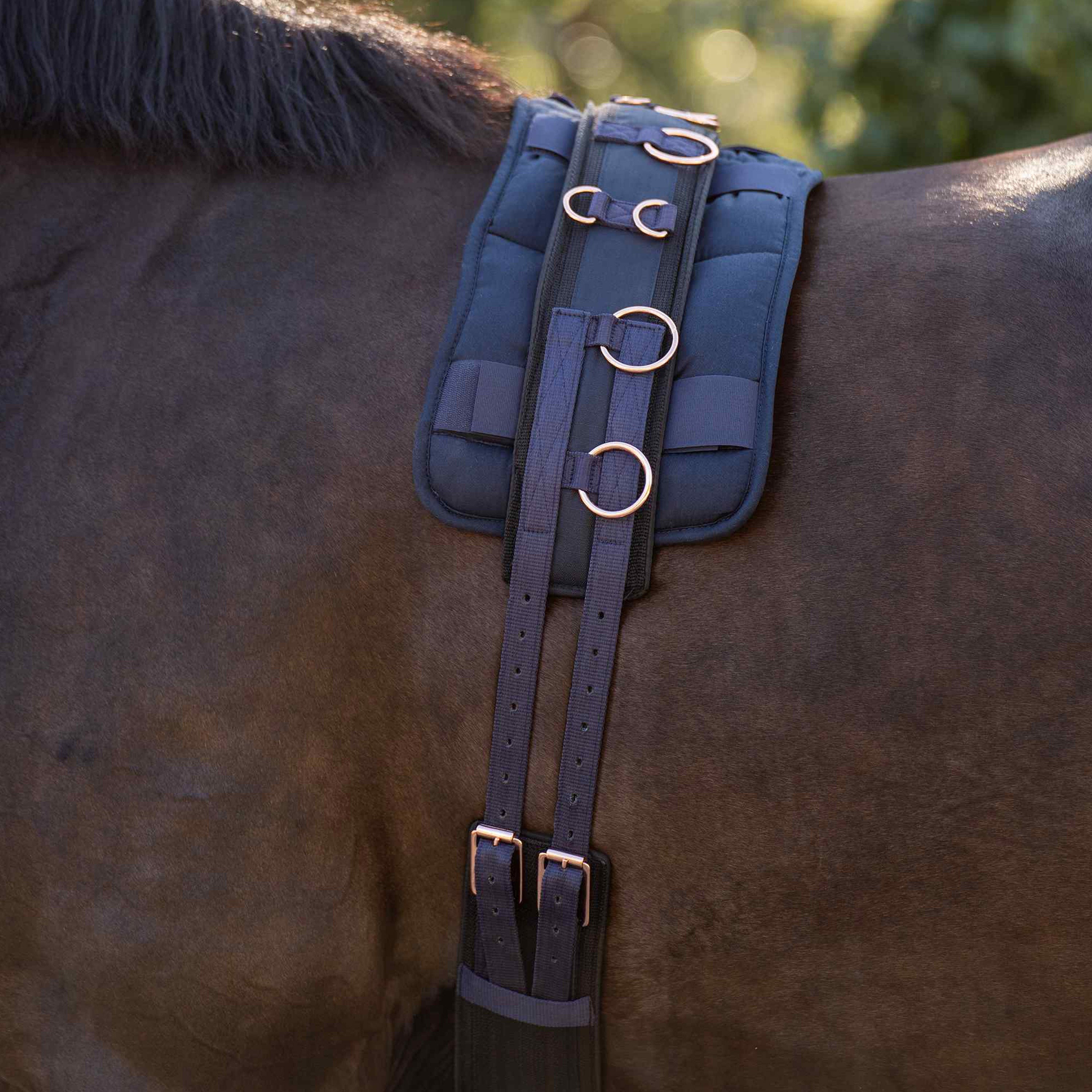 Lunging girth IRHDeluxe Extra