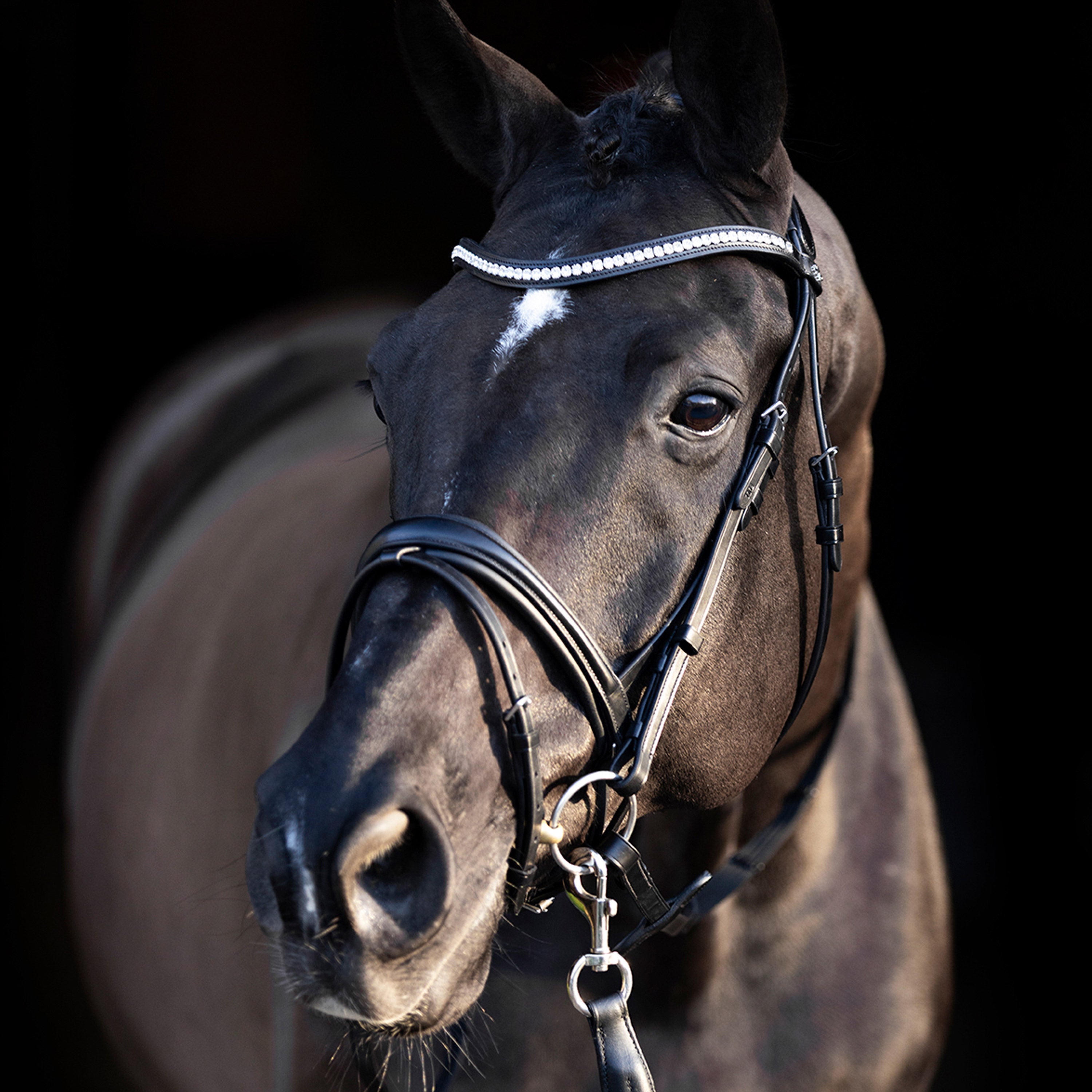Bridle HVPLegacy deluxe