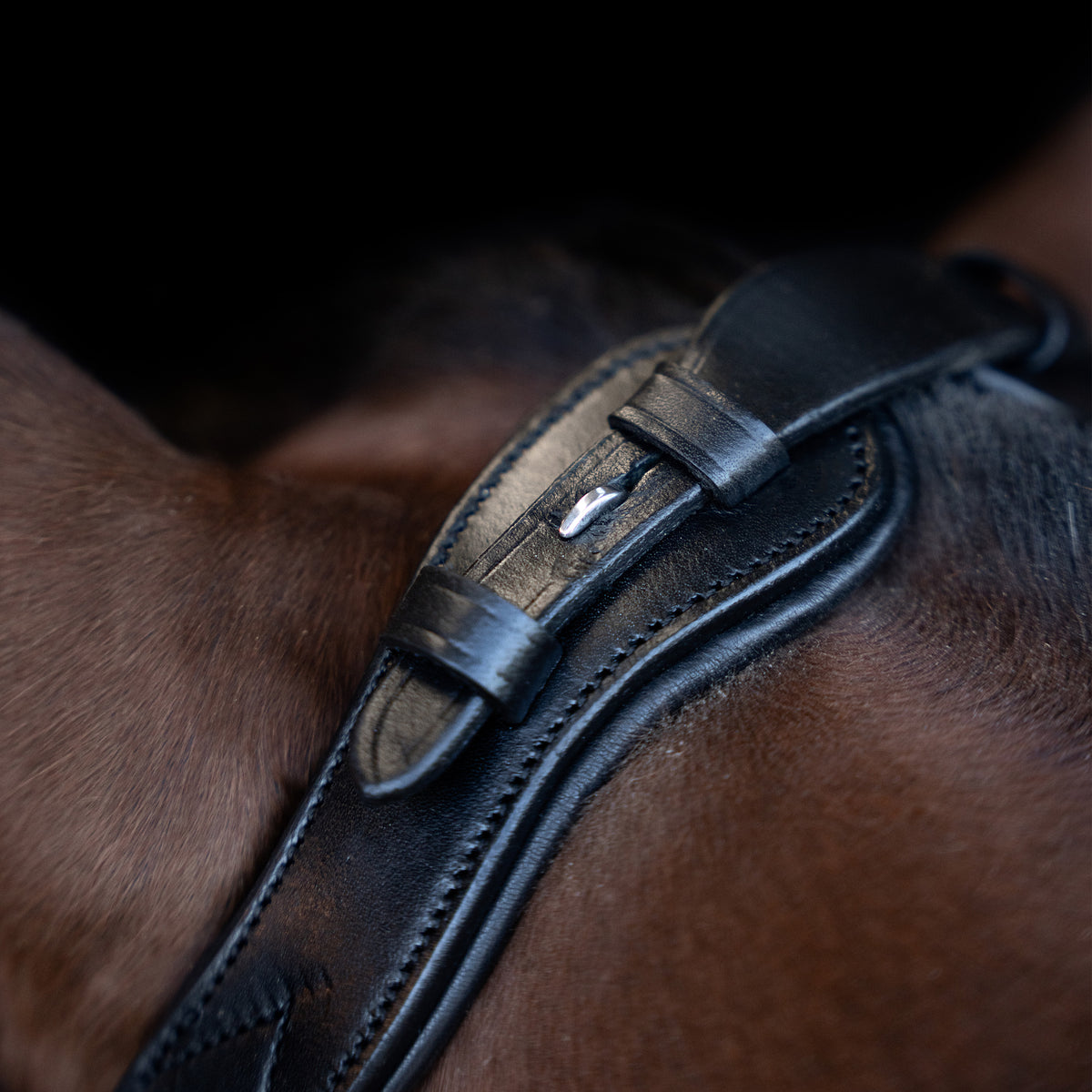 Bridle IRH with ergonomic drop noseband/flash