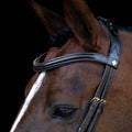 Bridle IRH with ergonomic drop noseband/flash