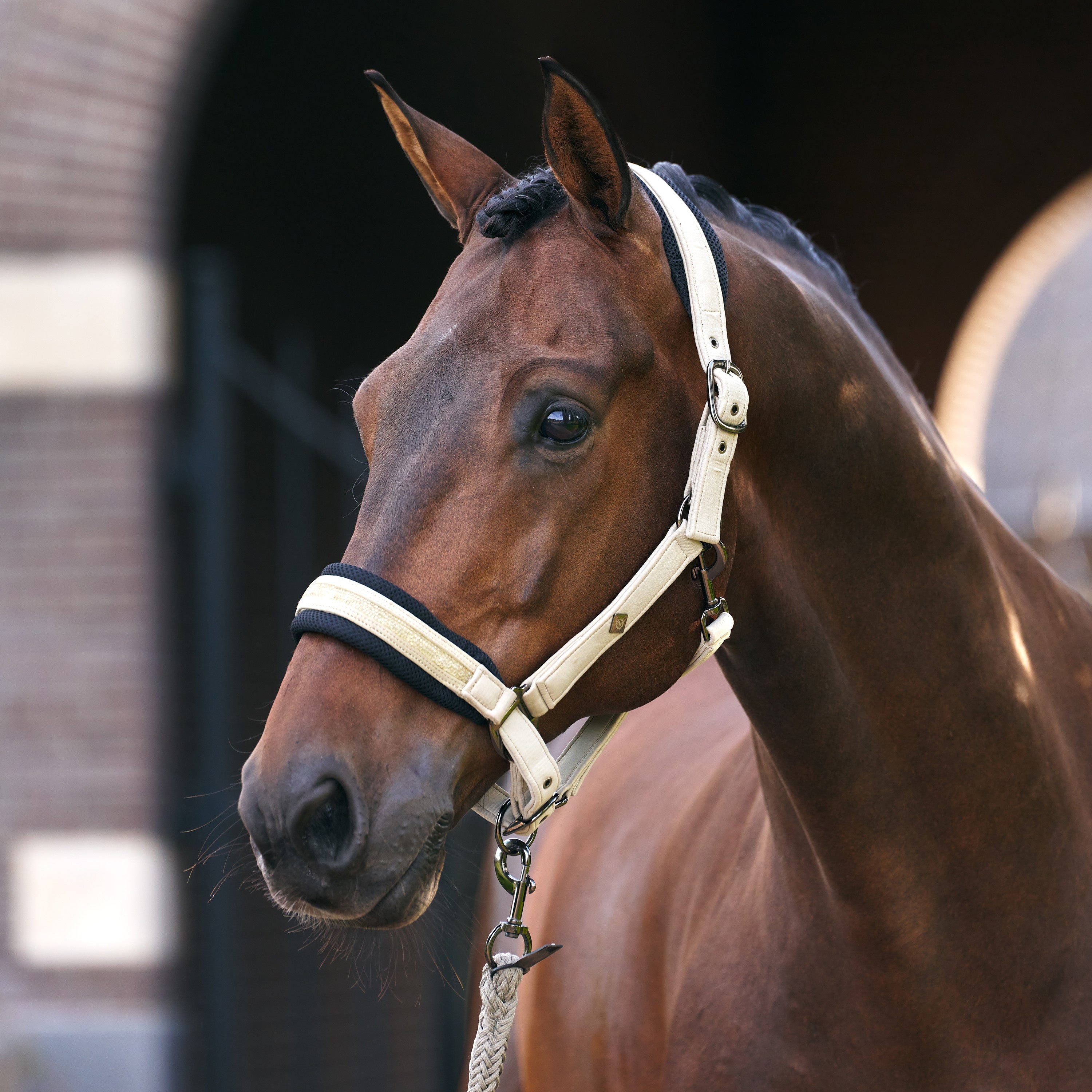 Headcollar IRHJewel Mesh