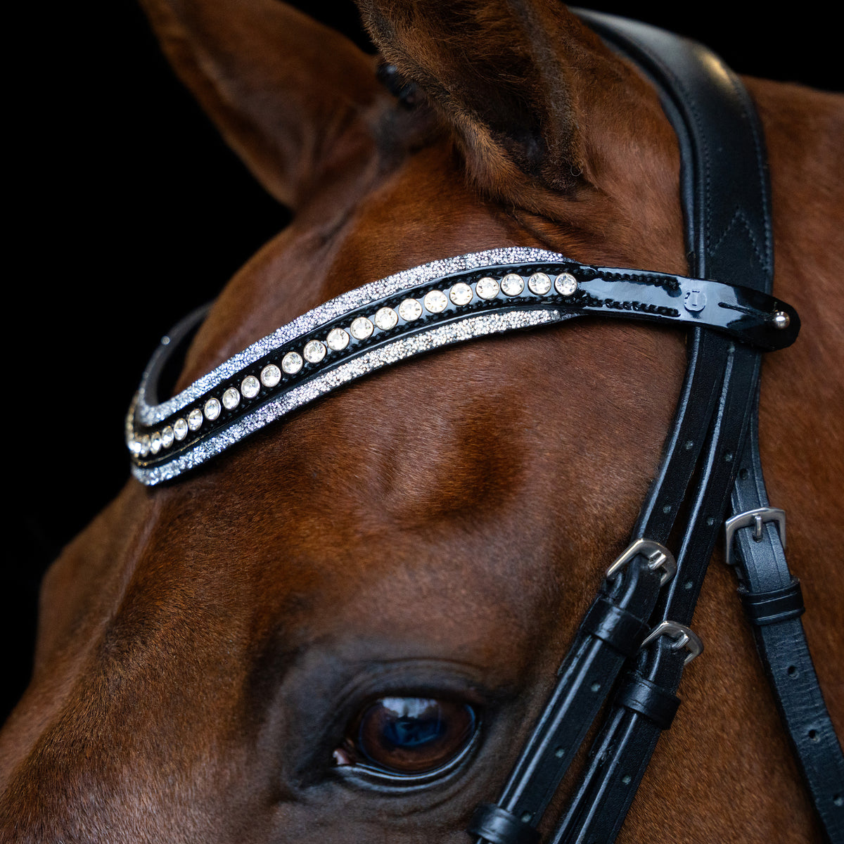 Browband IRHMaxima