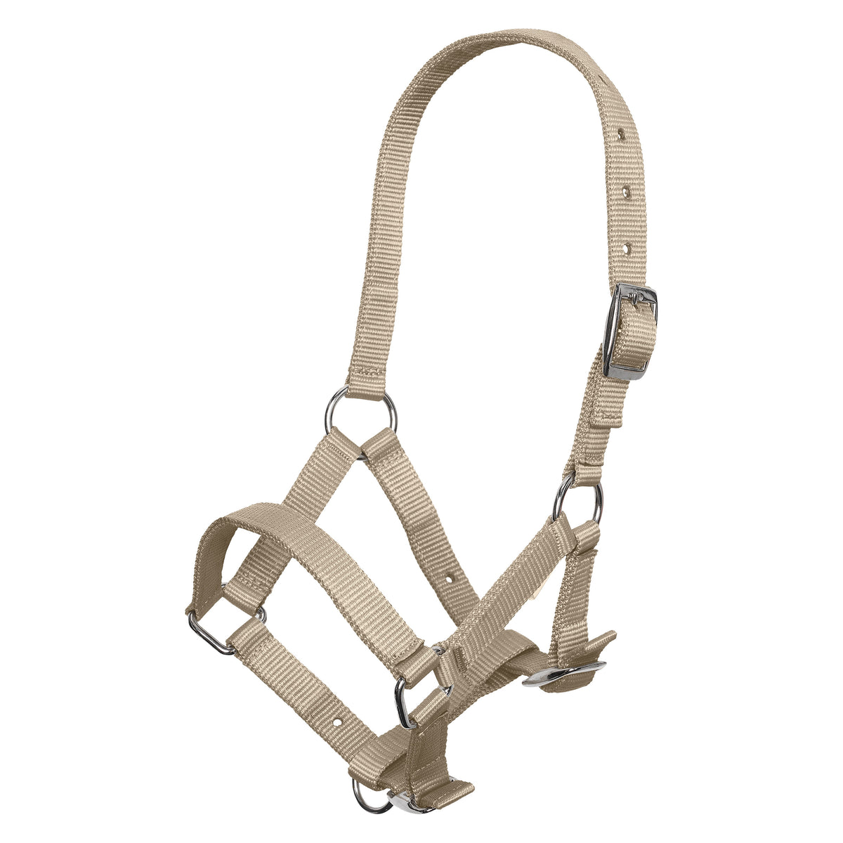 Headcollar foal IRH