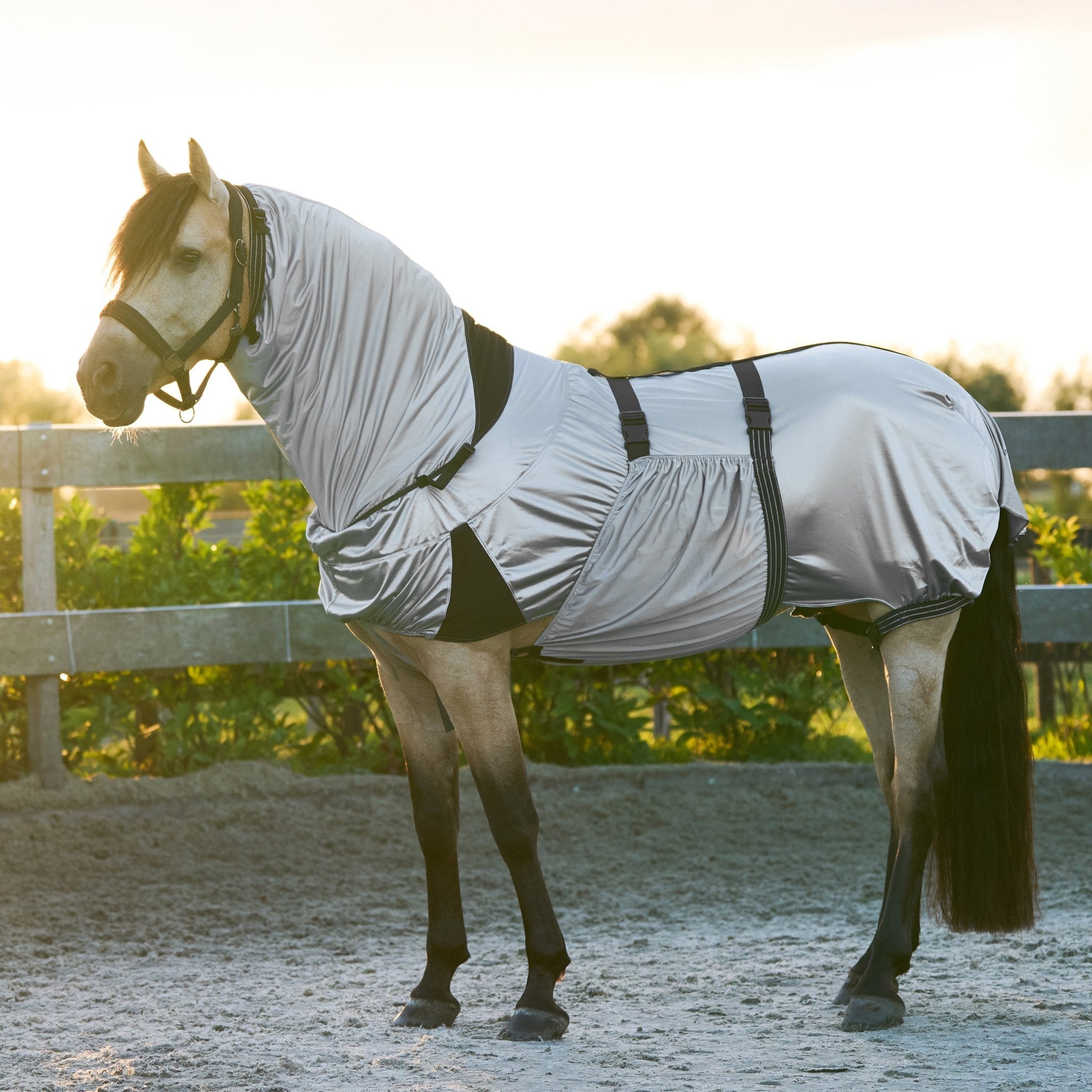 Eczema blanket IRH - Shetlandslycka - Always equine