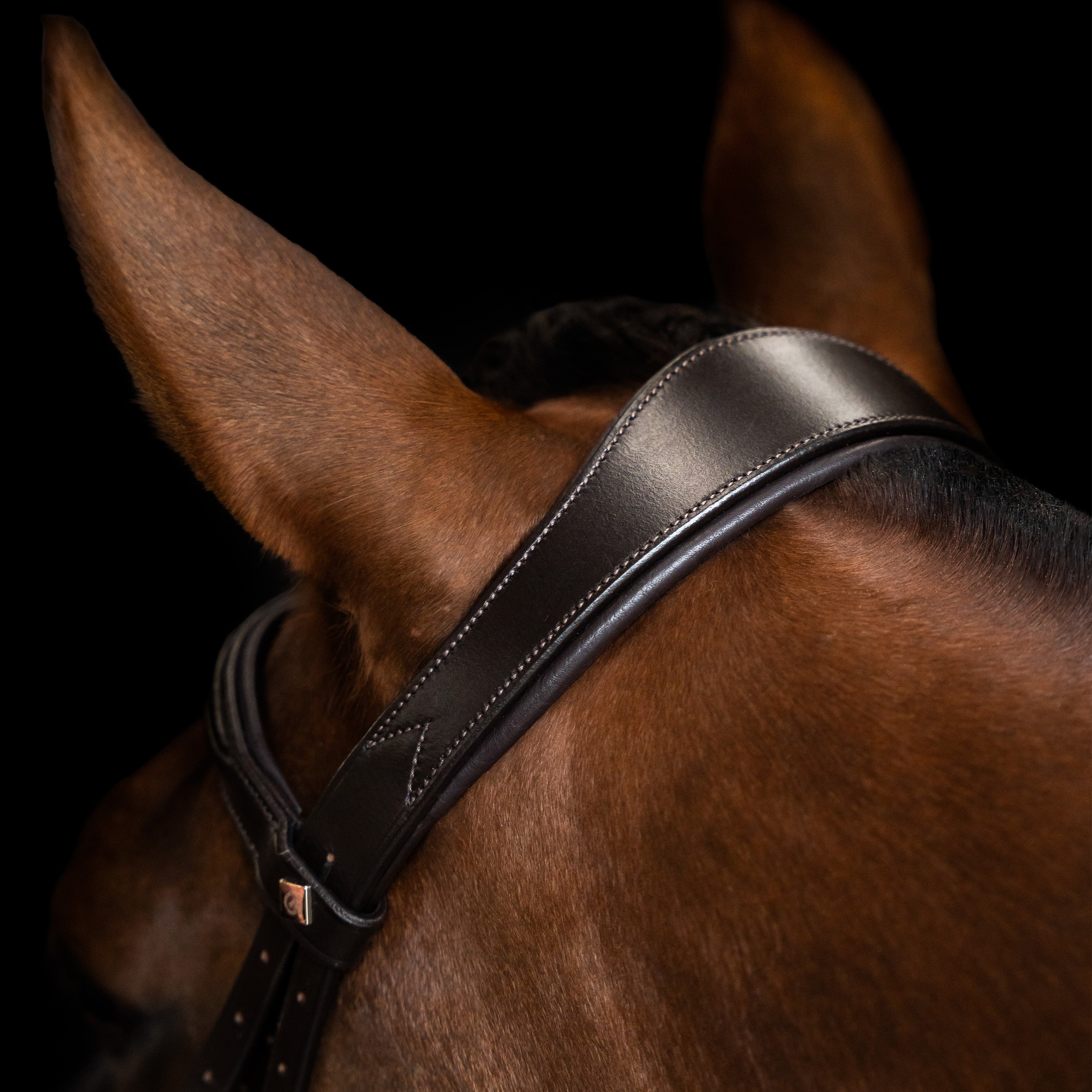 Bridle English IRH combined sleek