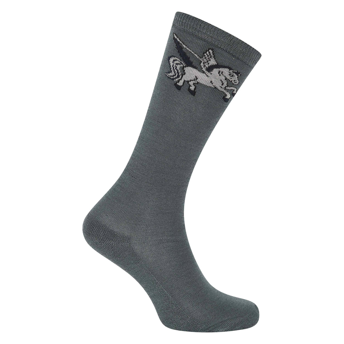 Socks IRHPegasus