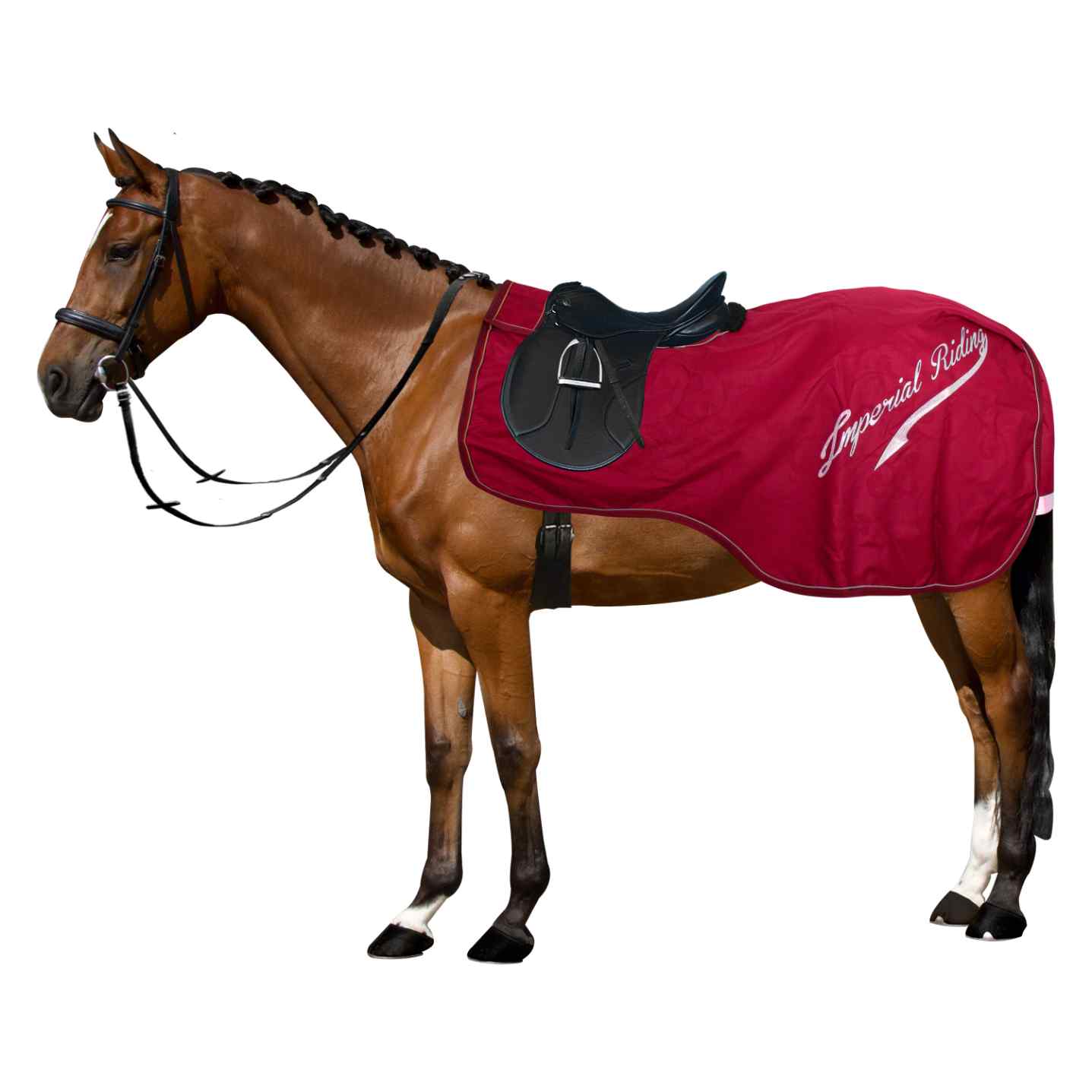 Exercise blanket IRHSuper - dry 0gr - Shetlandslycka - Always equine