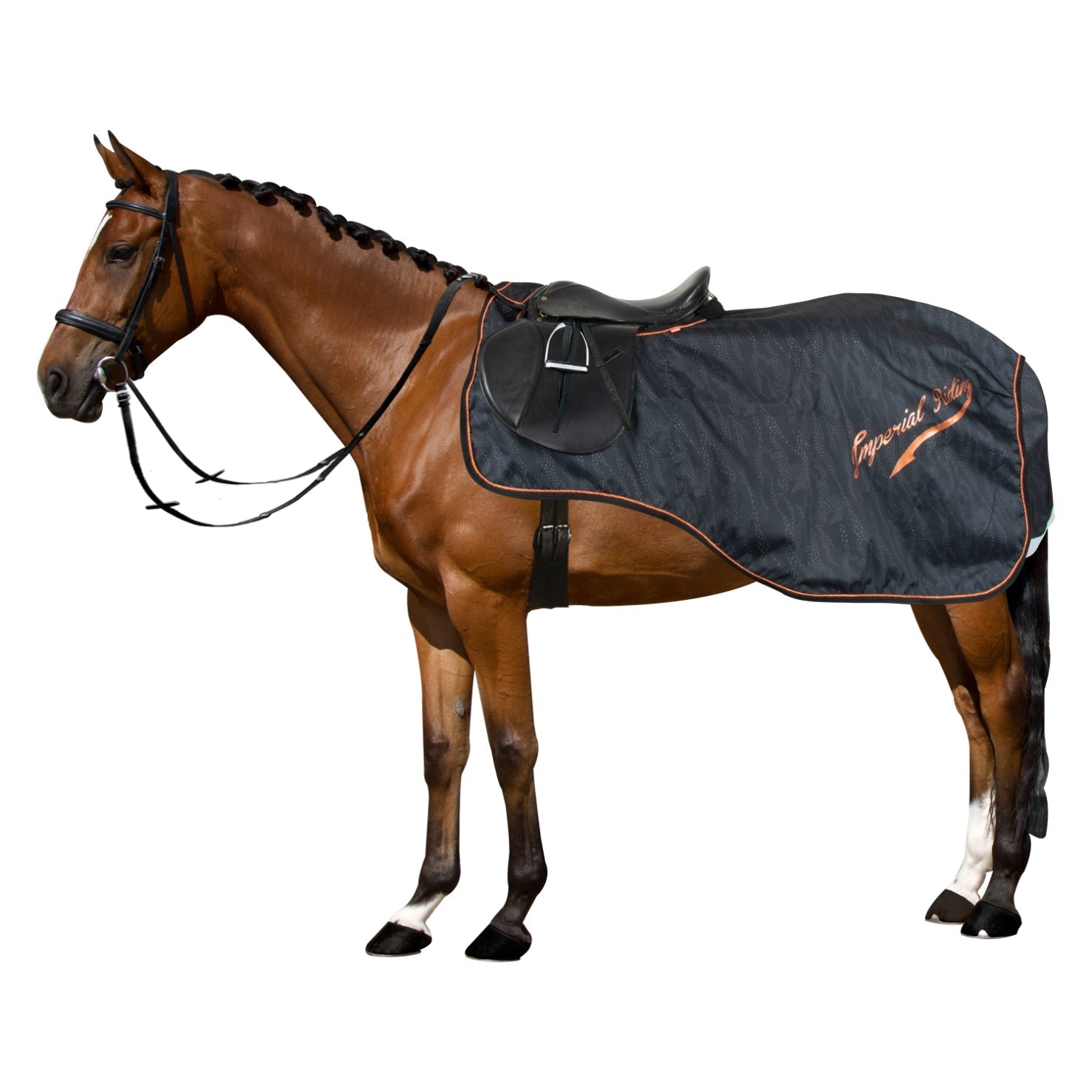 Exercise blanket IRHSuper - dry Flower - Shetlandslycka - Always equine
