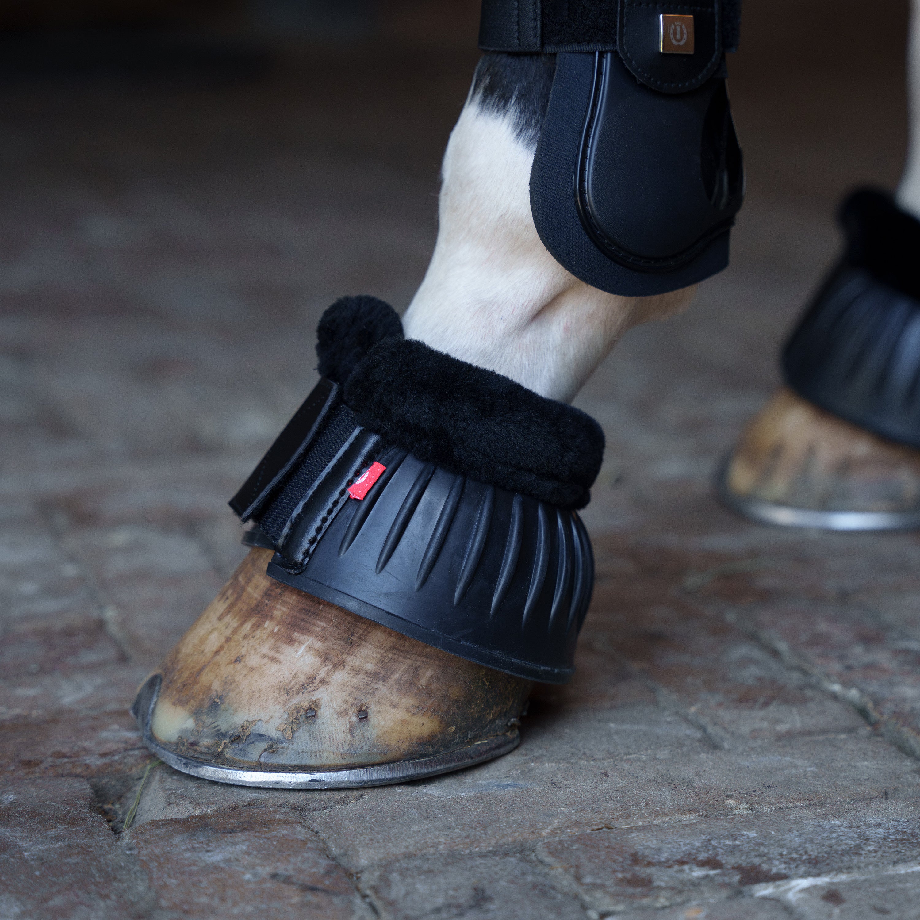 Bellboots IRHBells fur