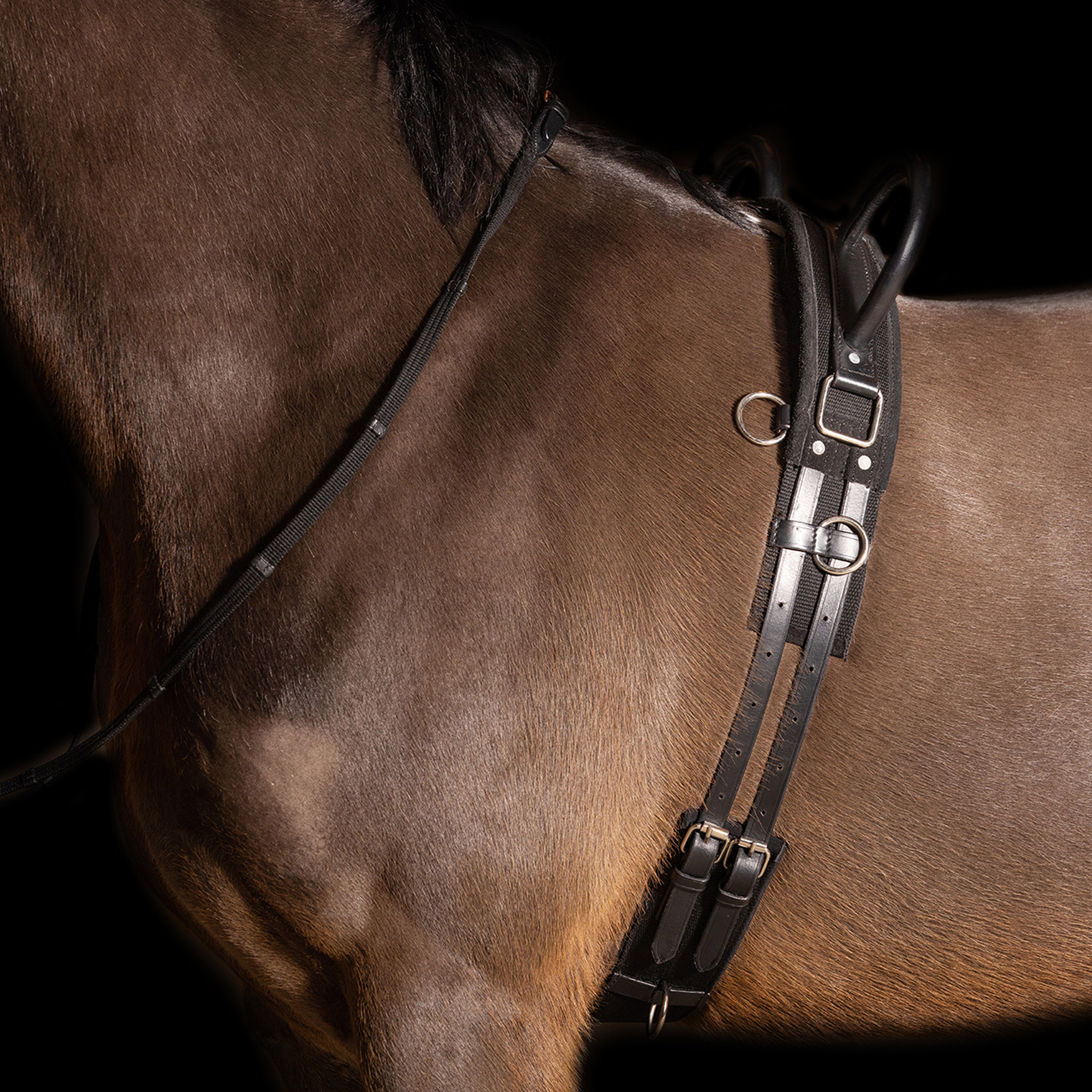 Lunging girth IRHVidal