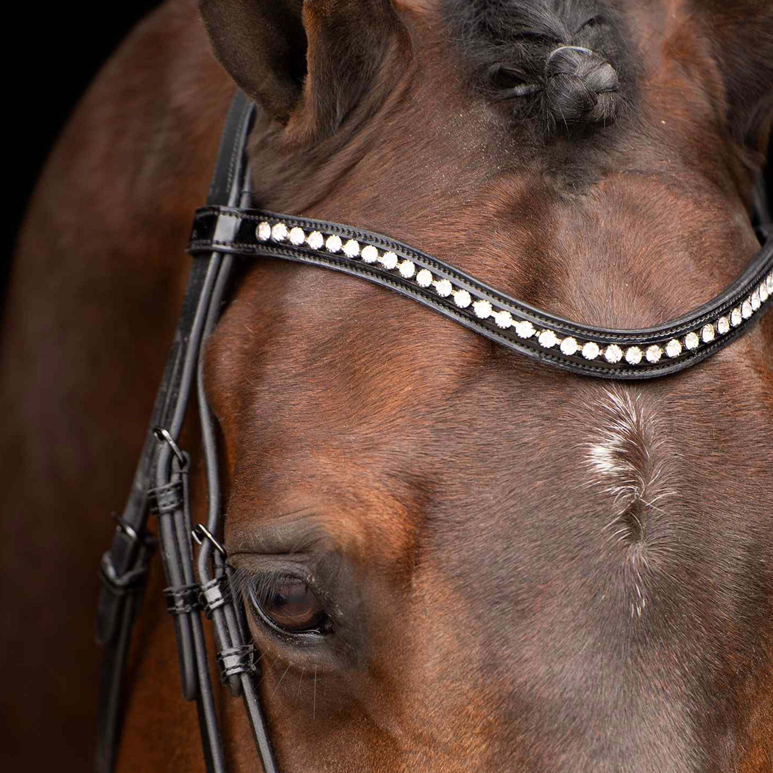 Bridle IRHAthena