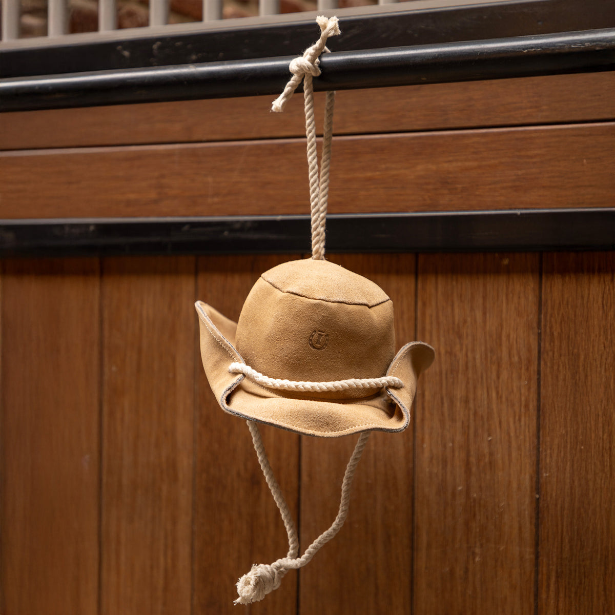 Stable buddy IRHCowboy hat