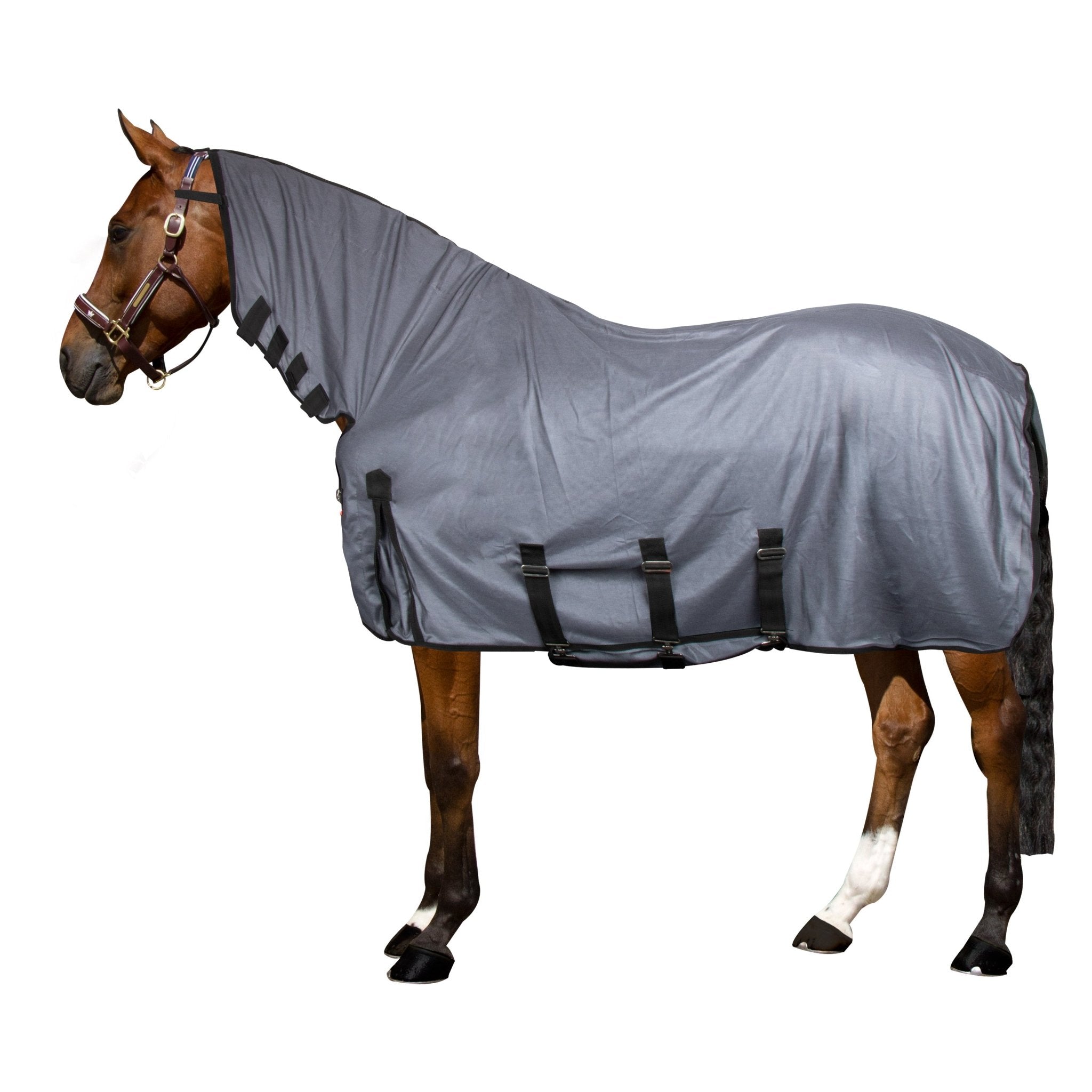 Fly blanket IRHCarly UV - Shetlandslycka - Always equine