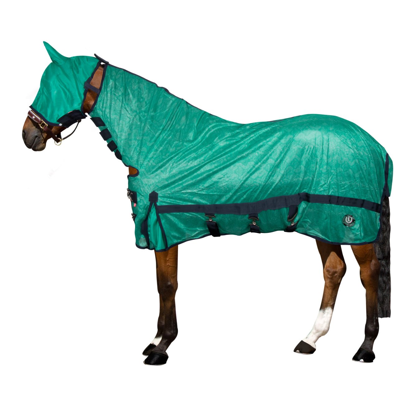 Fly blanket IRHShiny Snake - Shetlandslycka - Always equine