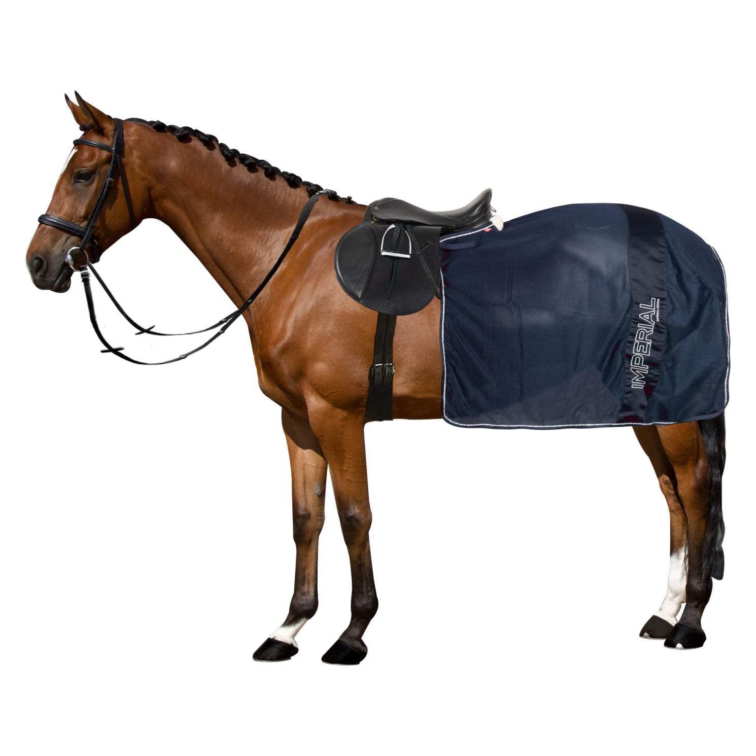 Fly - exercise blanket IRHAmbient flower - Shetlandslycka - Always equine