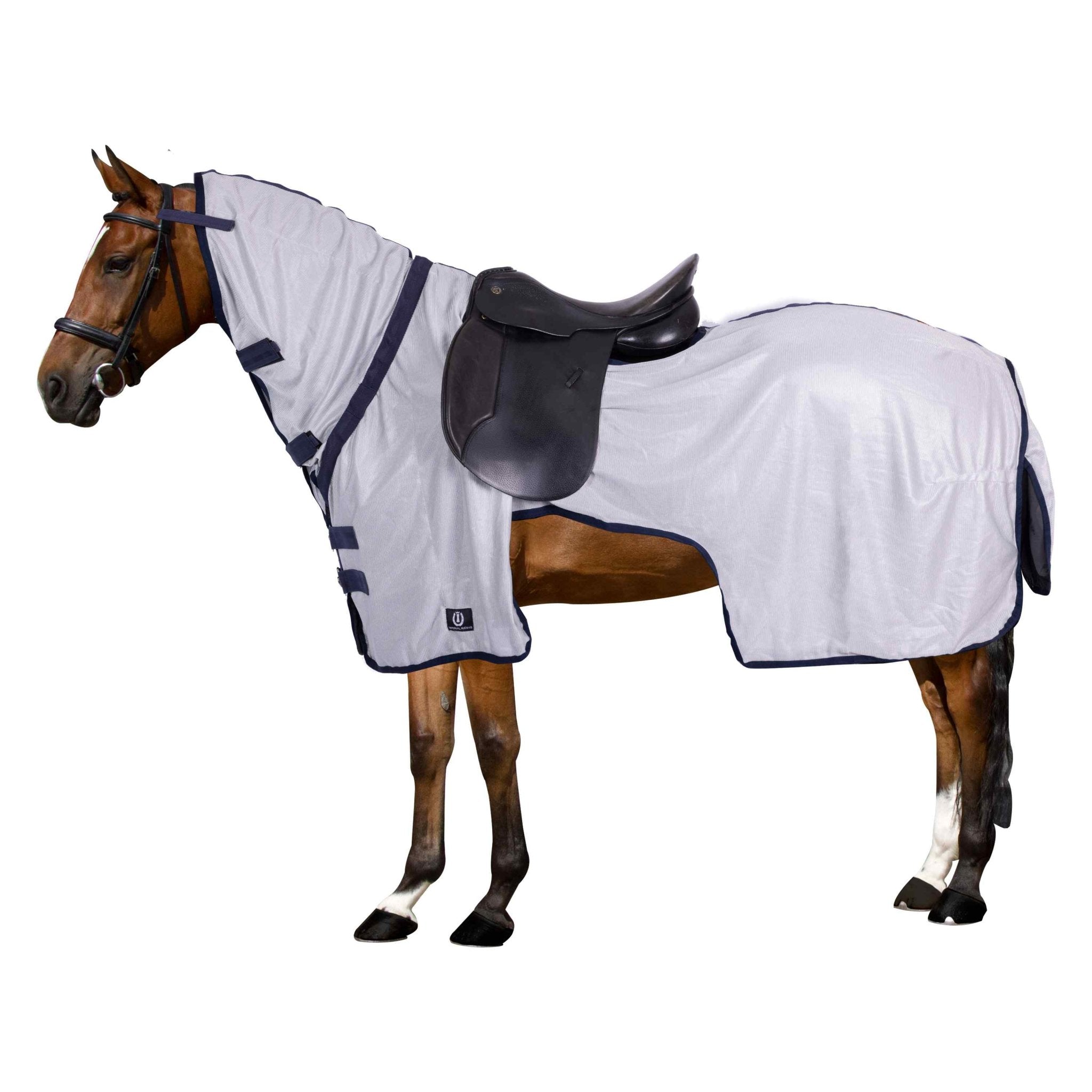 Fly - Exercise blanket IRHRoyce - Shetlandslycka - Always equine