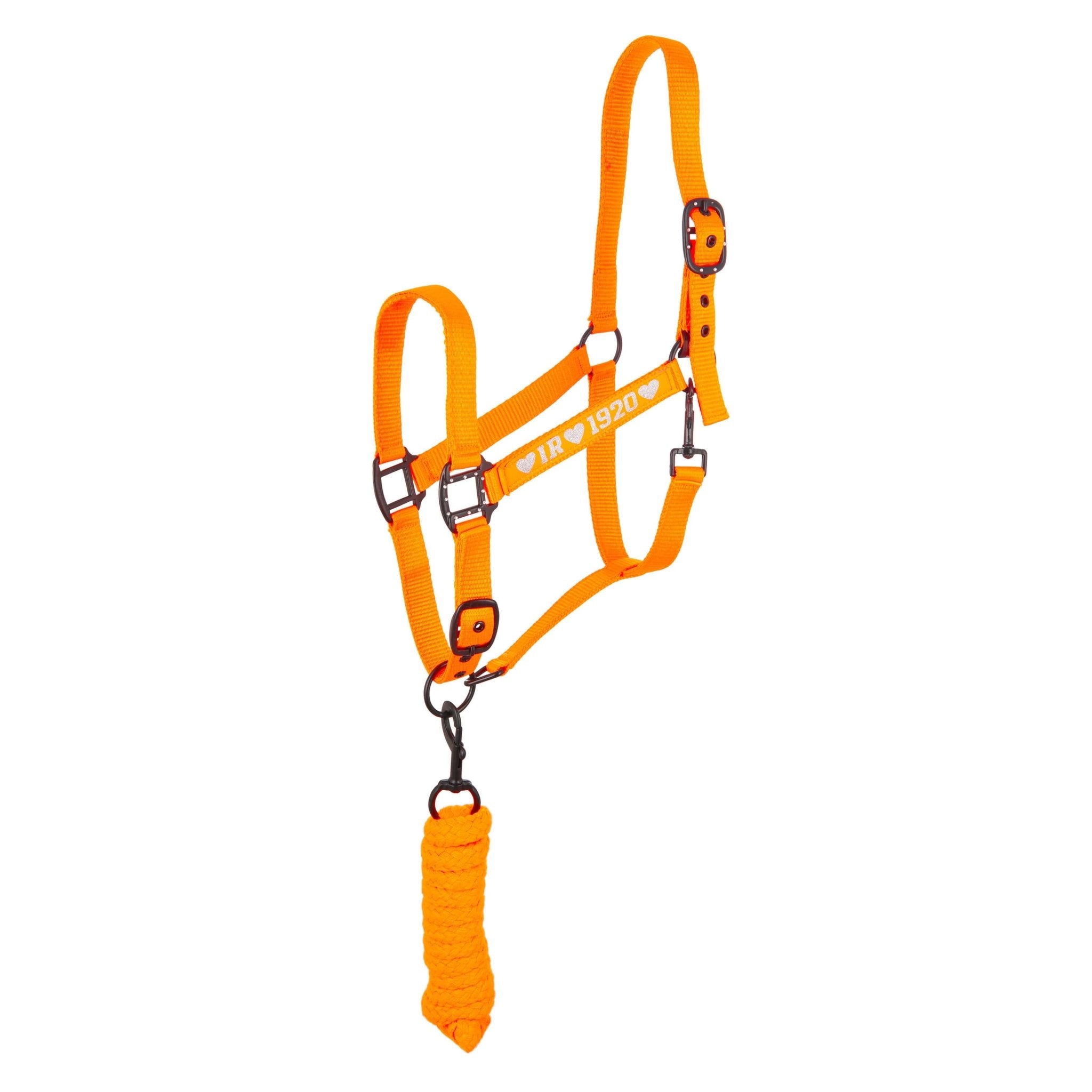 Headcollar and rope SH IRHSpring Vibes - Shetlandslycka - Always equine