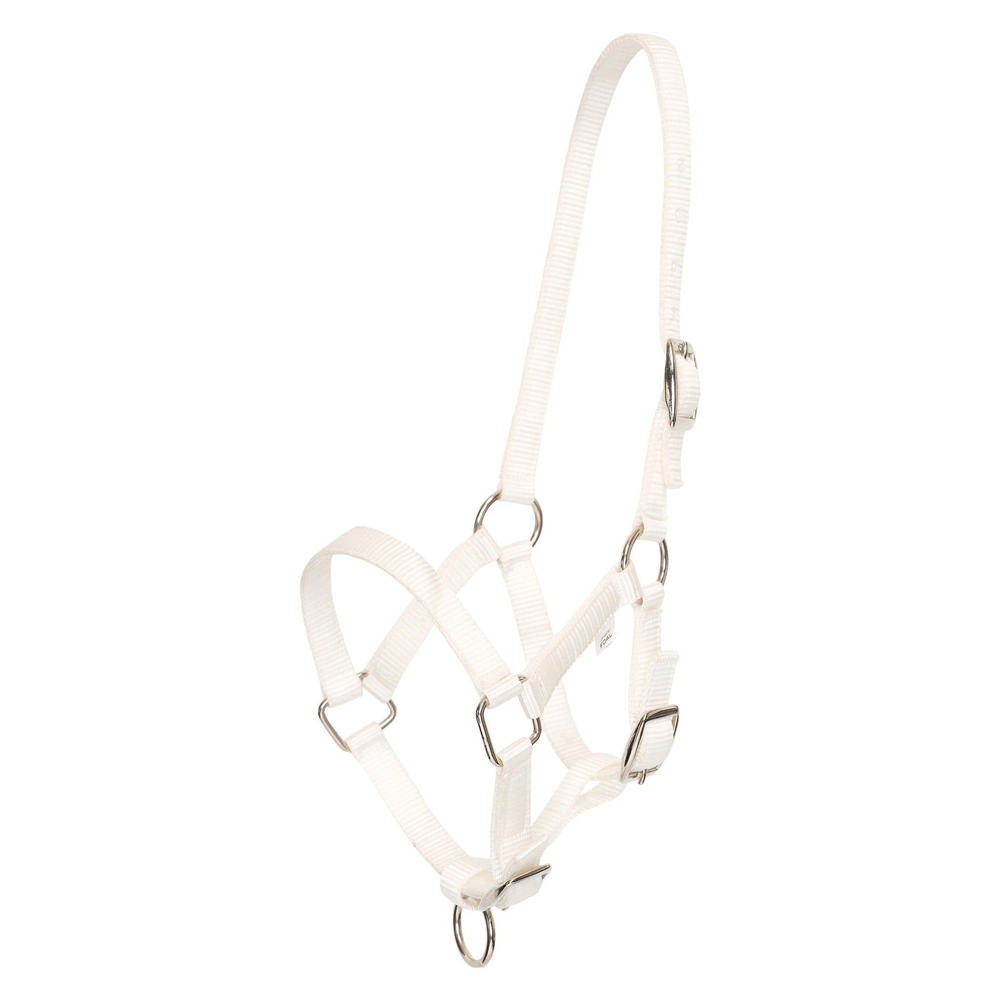 Headcollar foal HVPNena - Shetlandslycka - Always equine