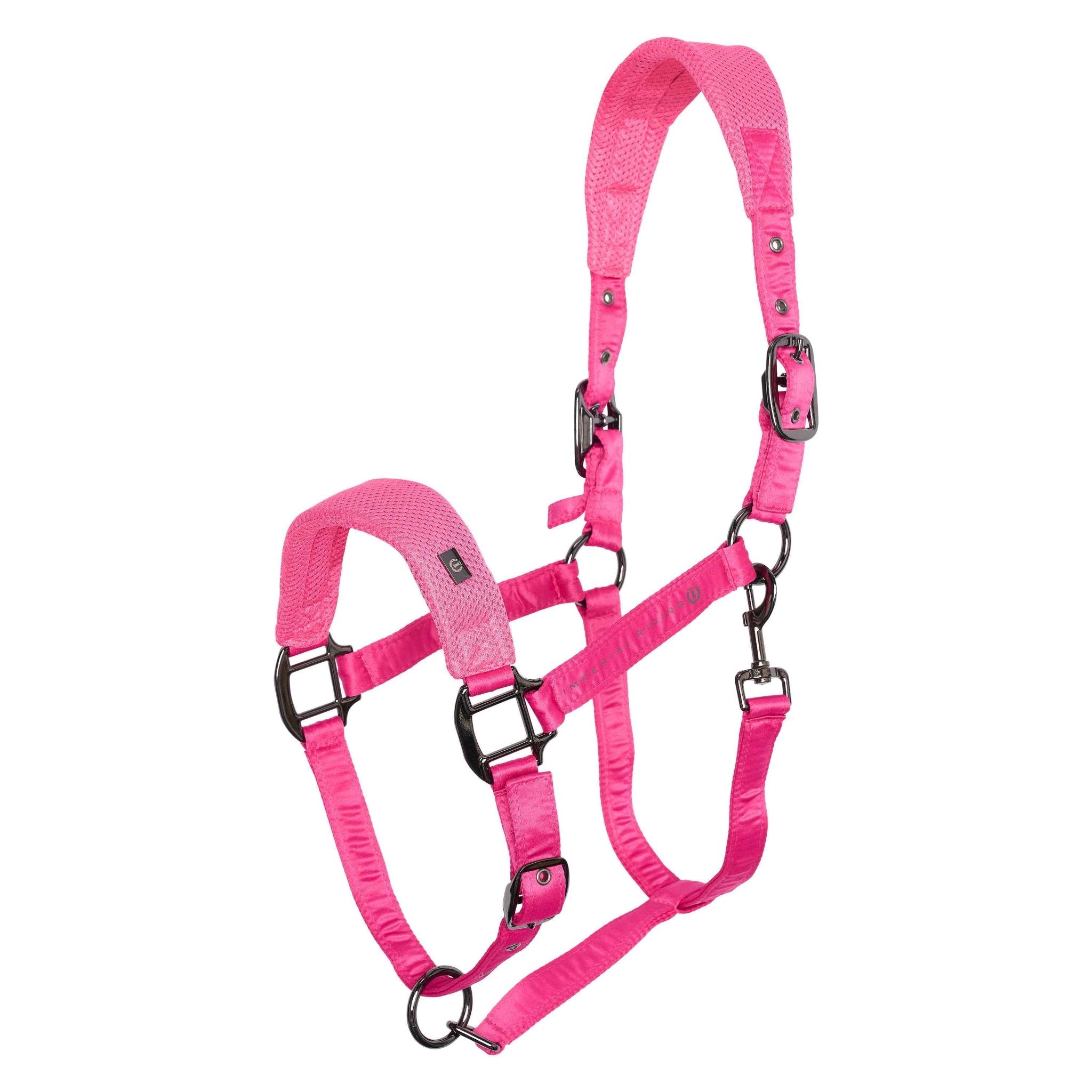 Headcollar IRHCloud Dancer - Shetlandslycka - Always equine
