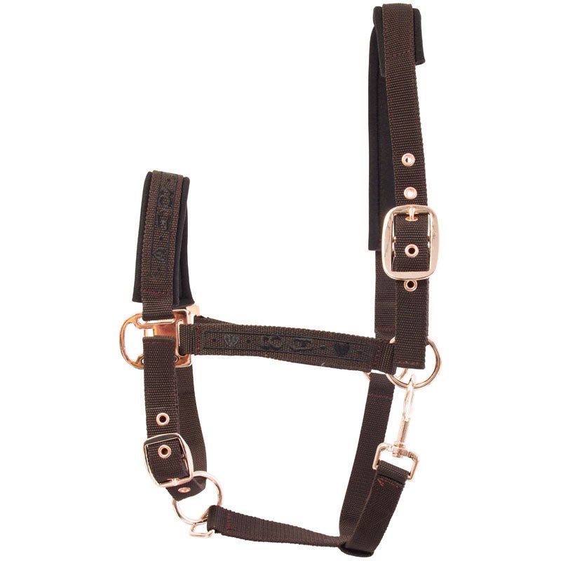 Headcollar IRHLet's Dance - Shetlandslycka - Always equine