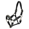 Headcollar IRHRainbow - Shetlandslycka - Always equine