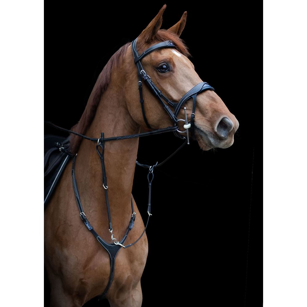 https://www.ikonicsaddlery.com/image?FileId=24286&preset=C_ZOOM